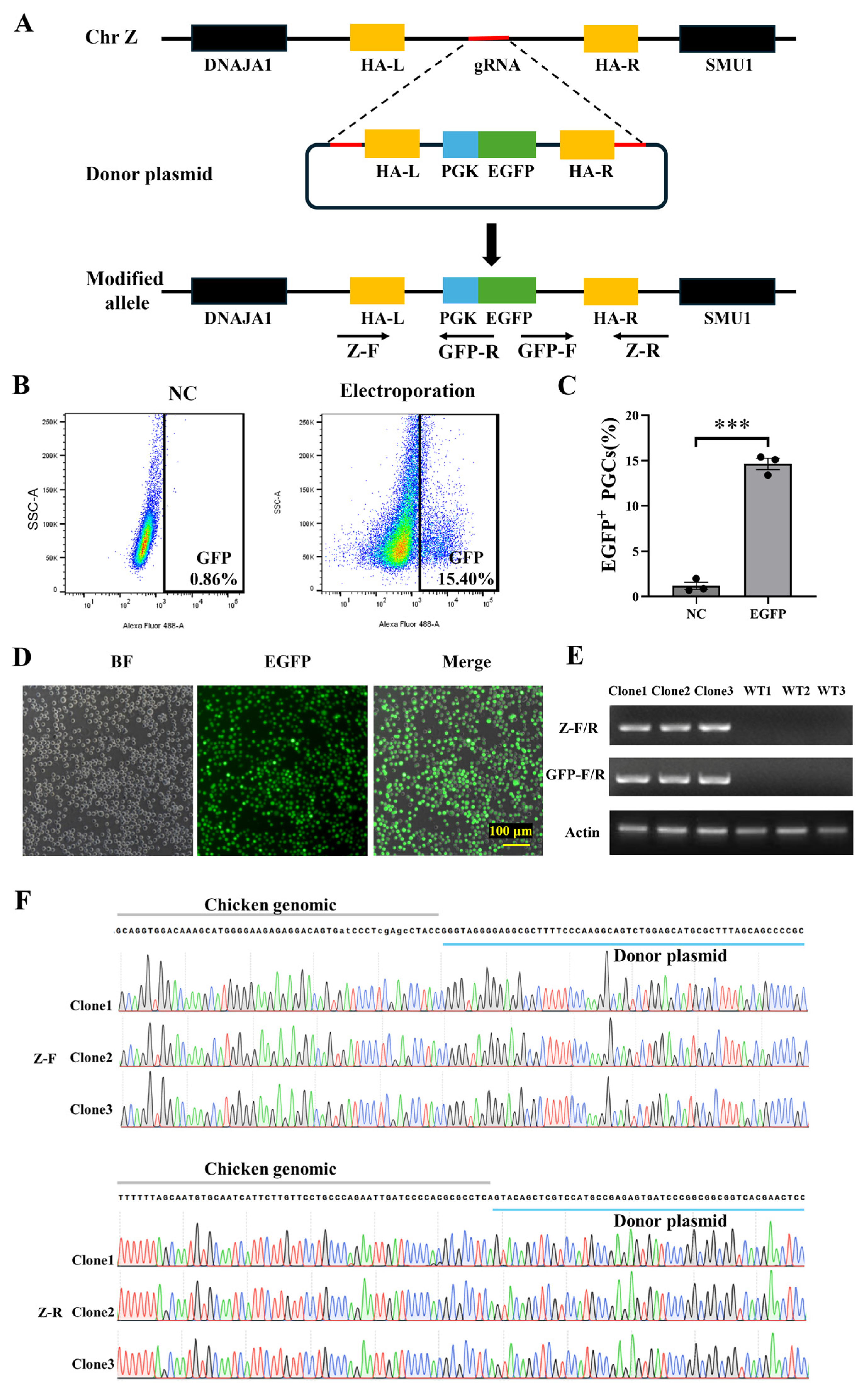 Animals 15 00590 g004