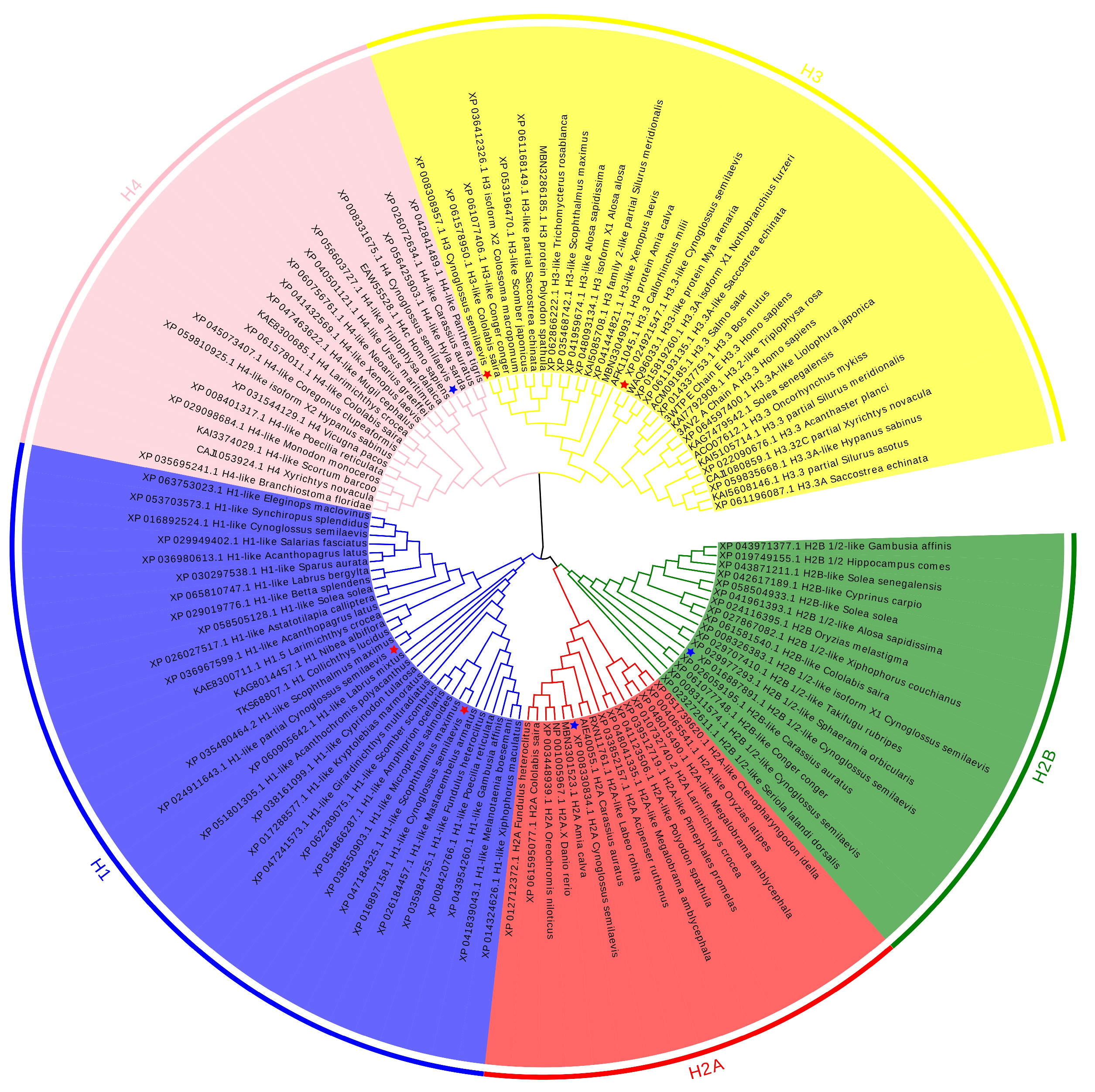 Animals 15 00593 g001