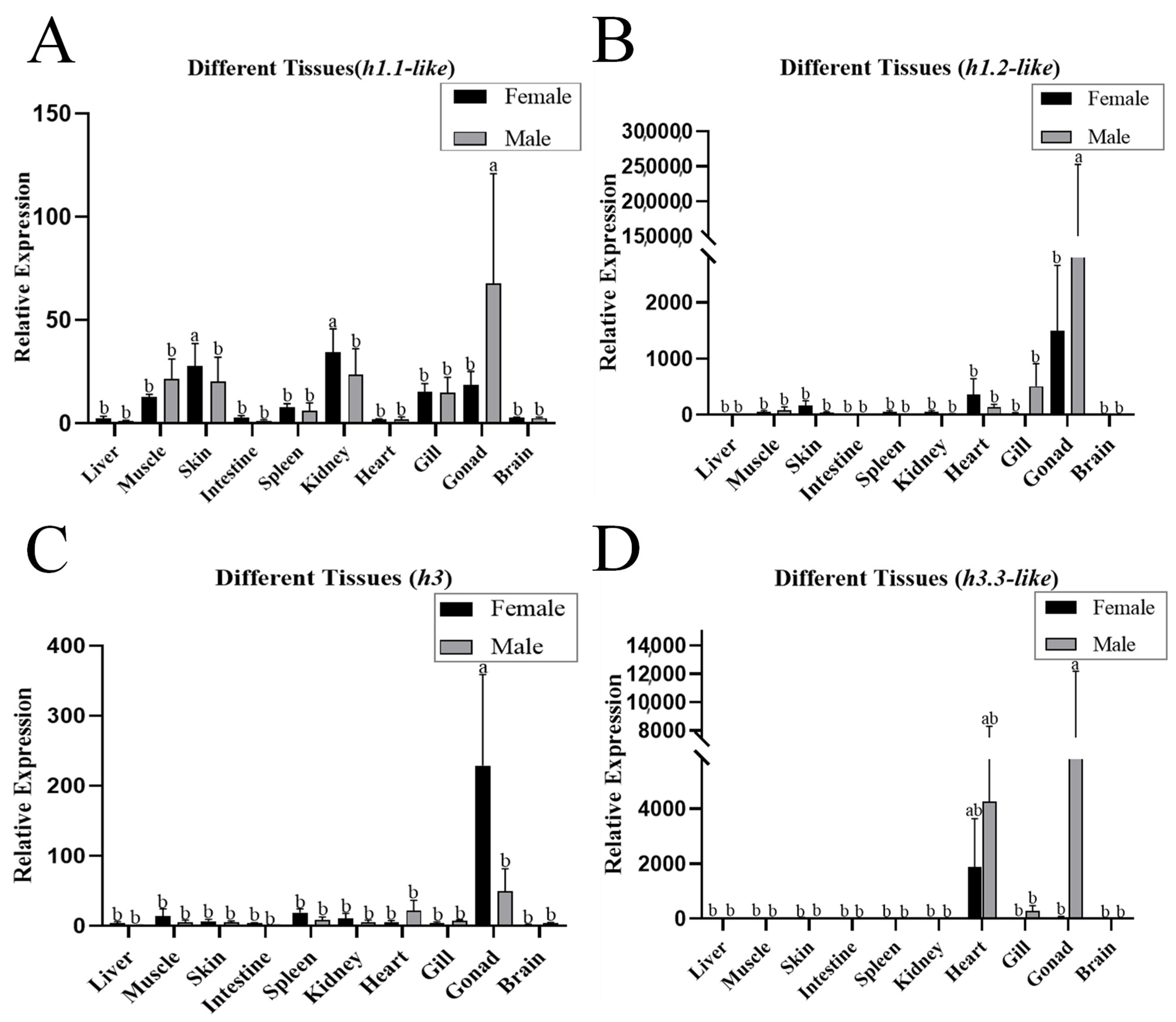 Animals 15 00593 g002