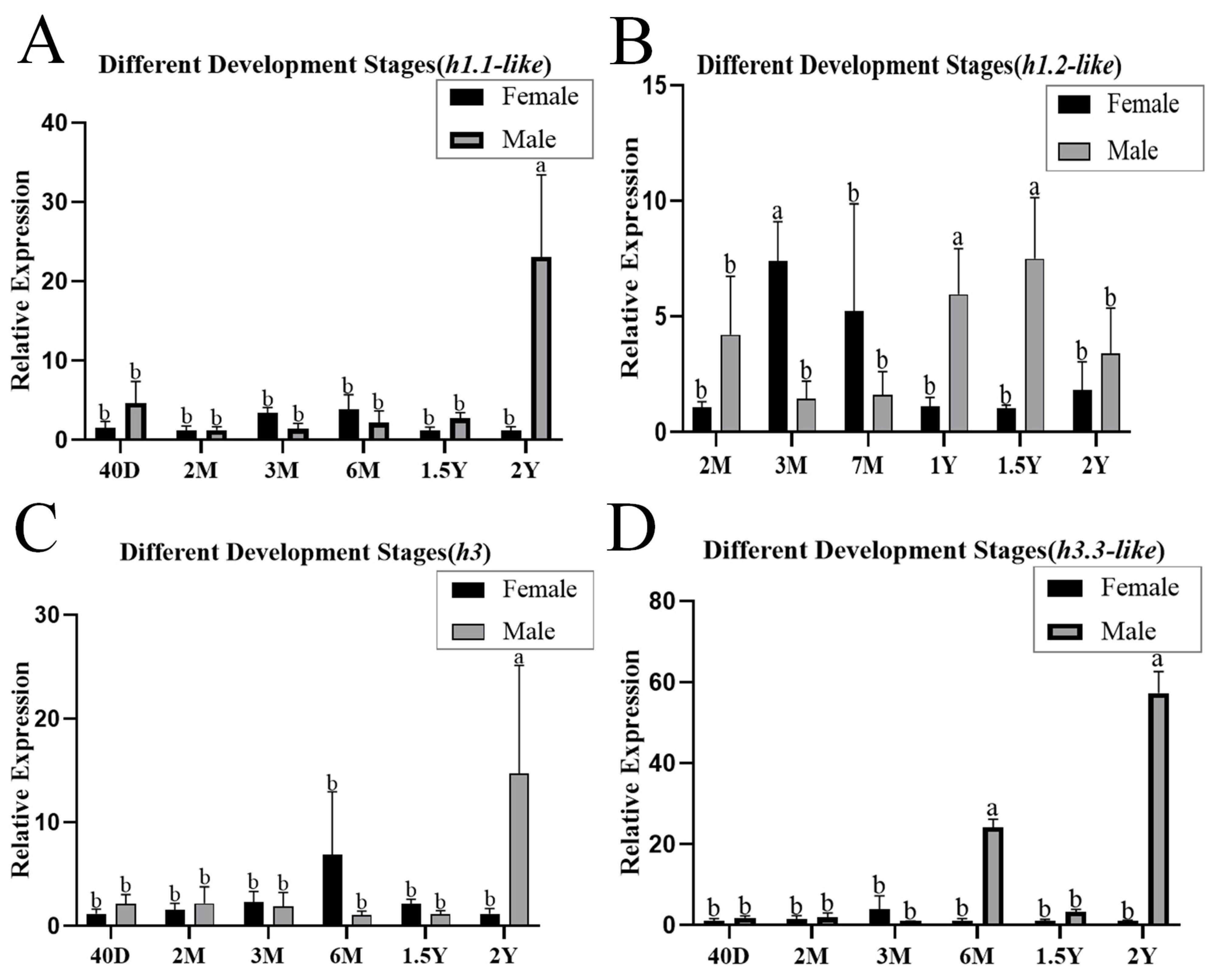 Animals 15 00593 g003