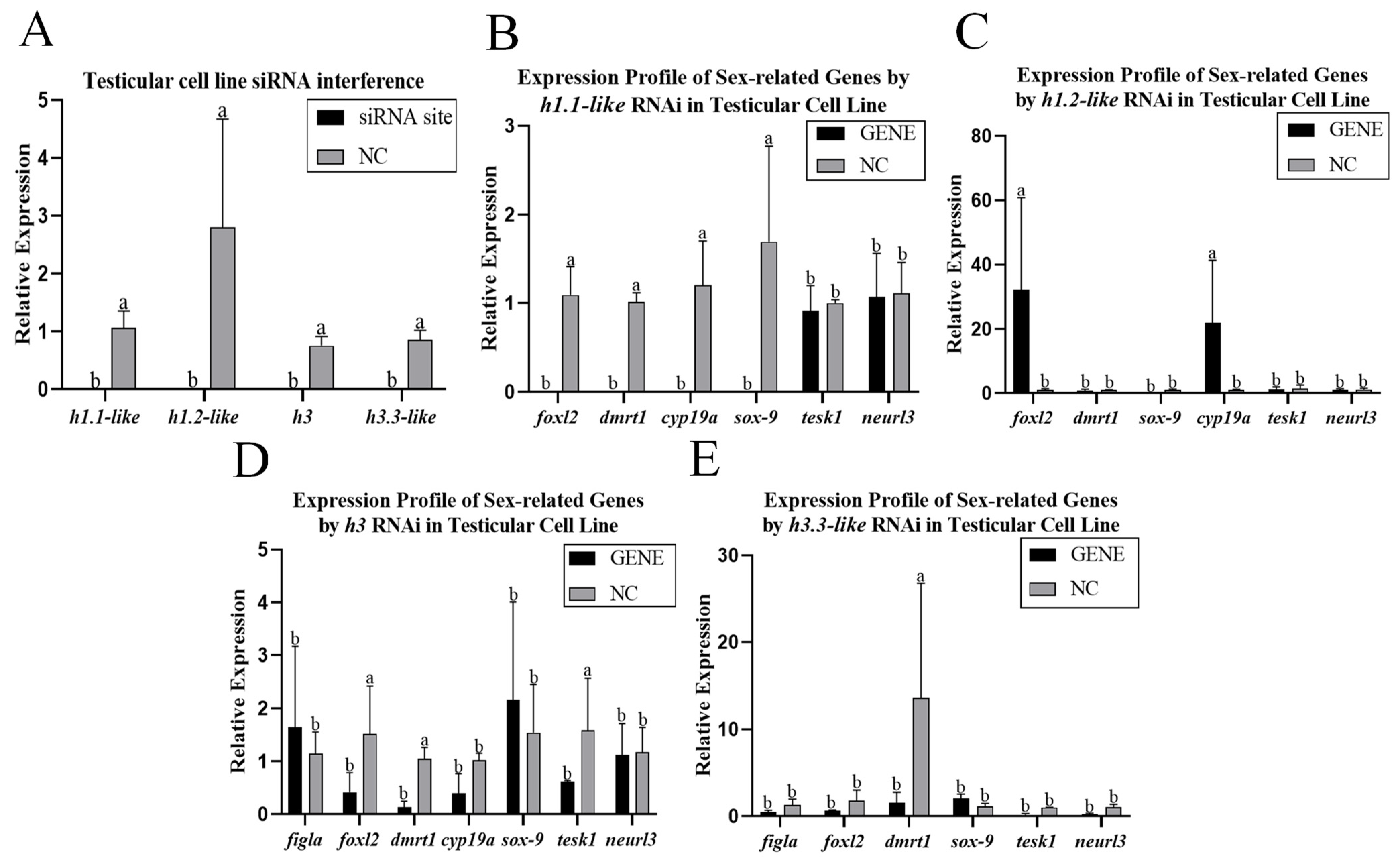 Animals 15 00593 g006
