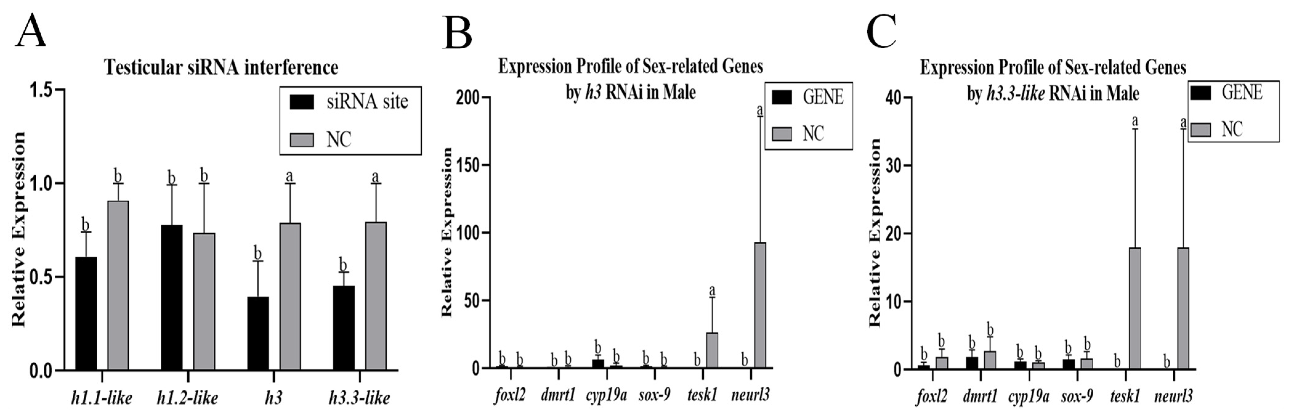 Animals 15 00593 g007