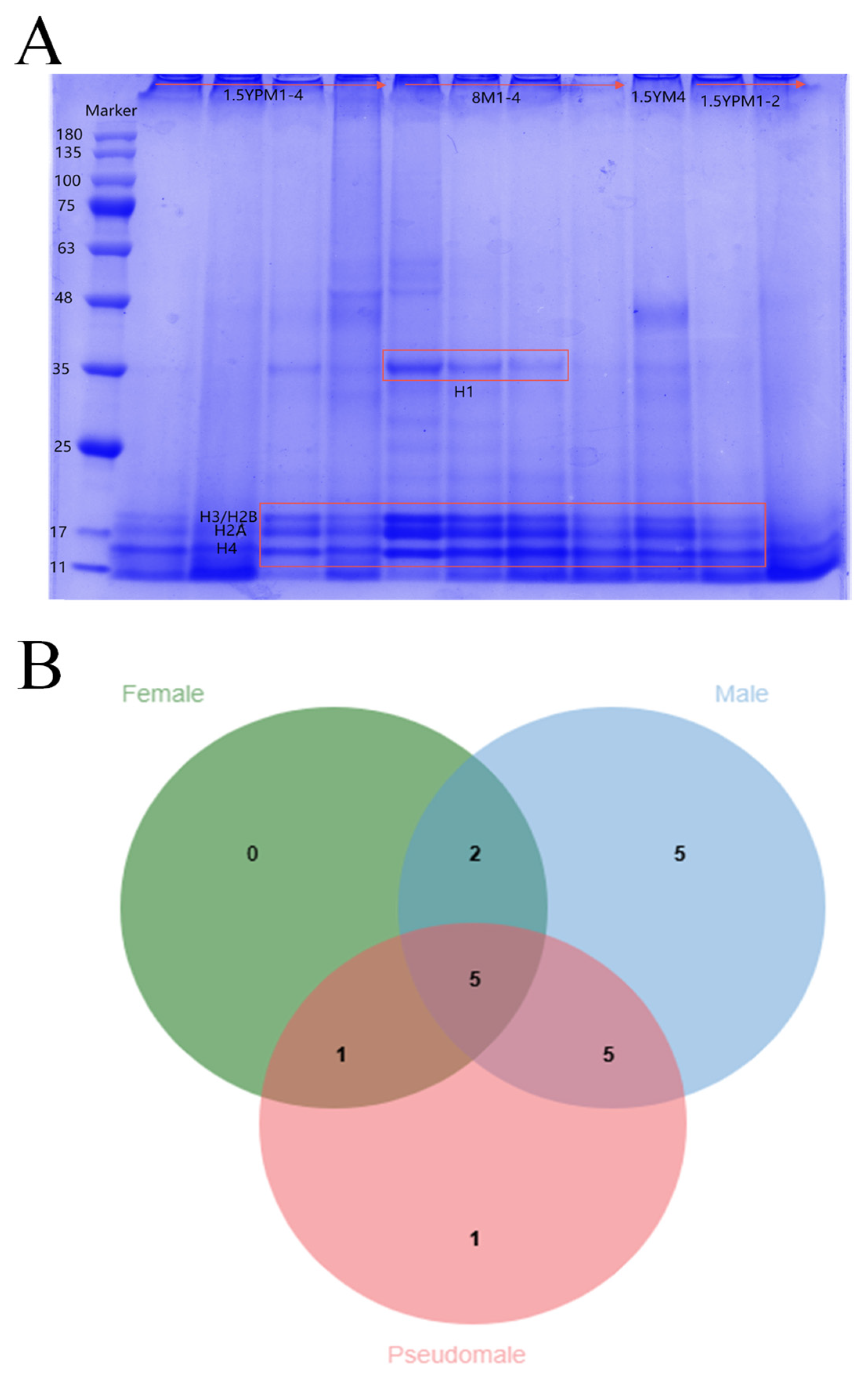 Animals 15 00593 g008