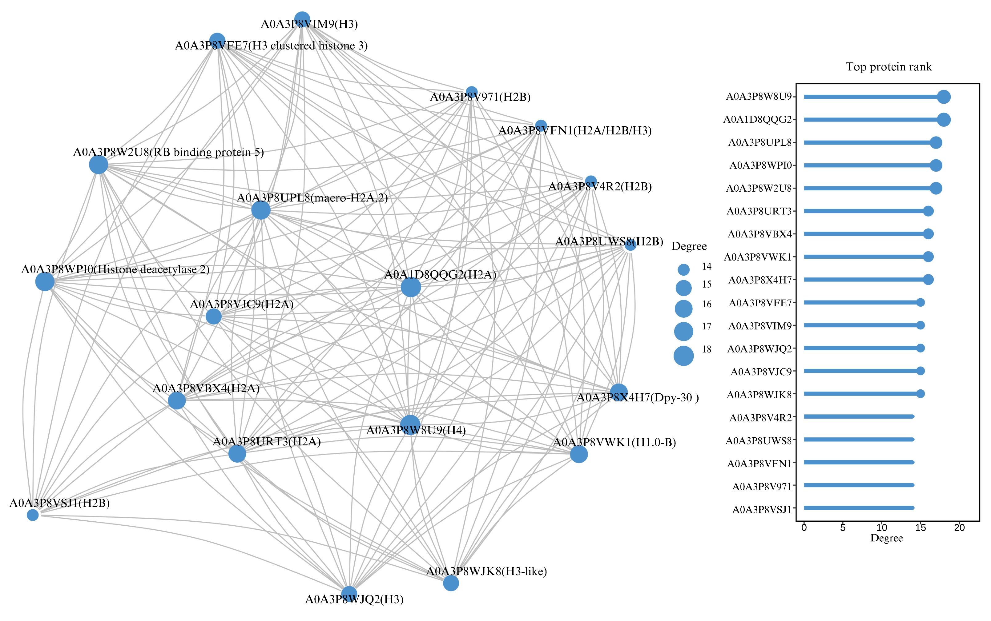 Animals 15 00593 g010