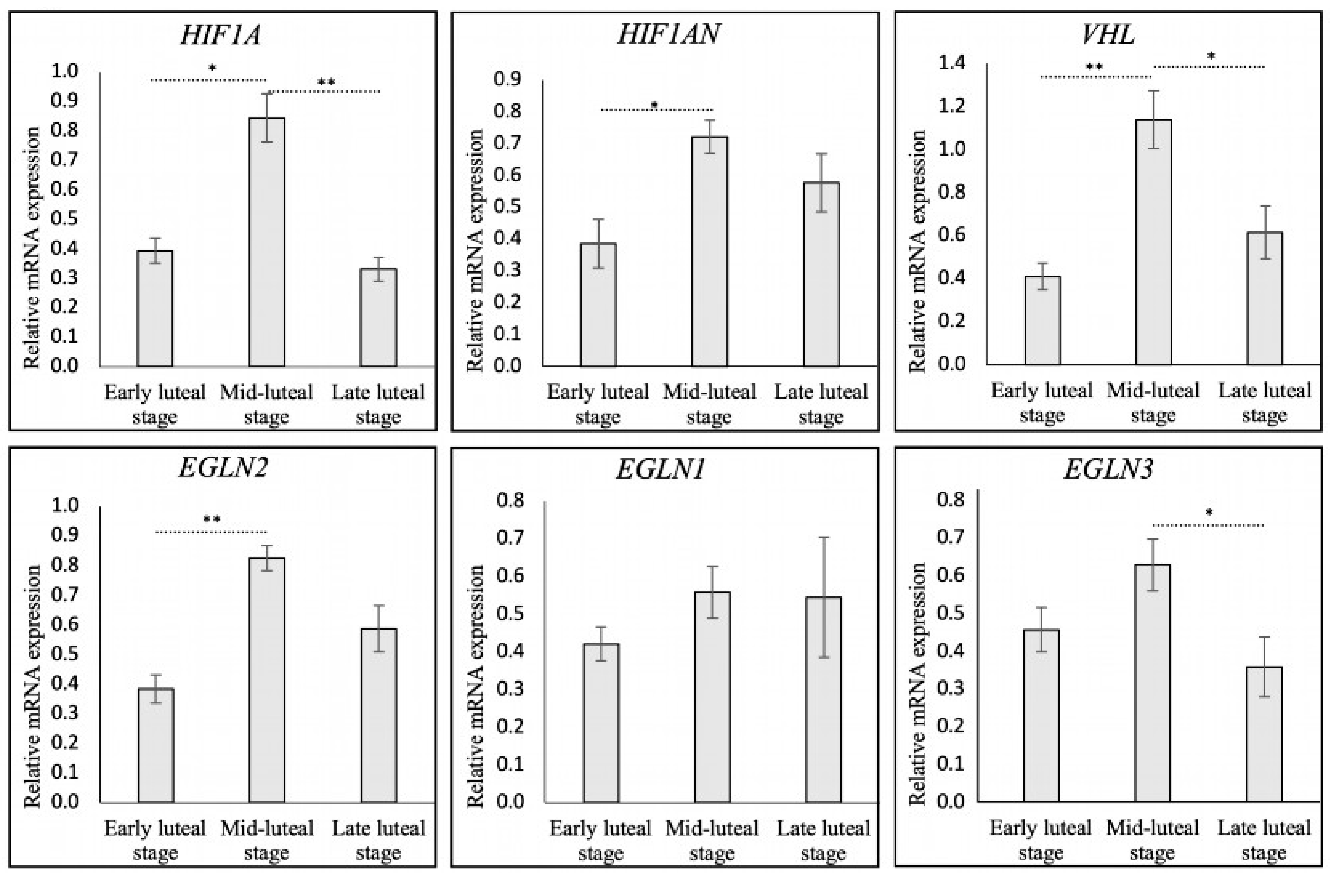 Animals 15 00595 g001