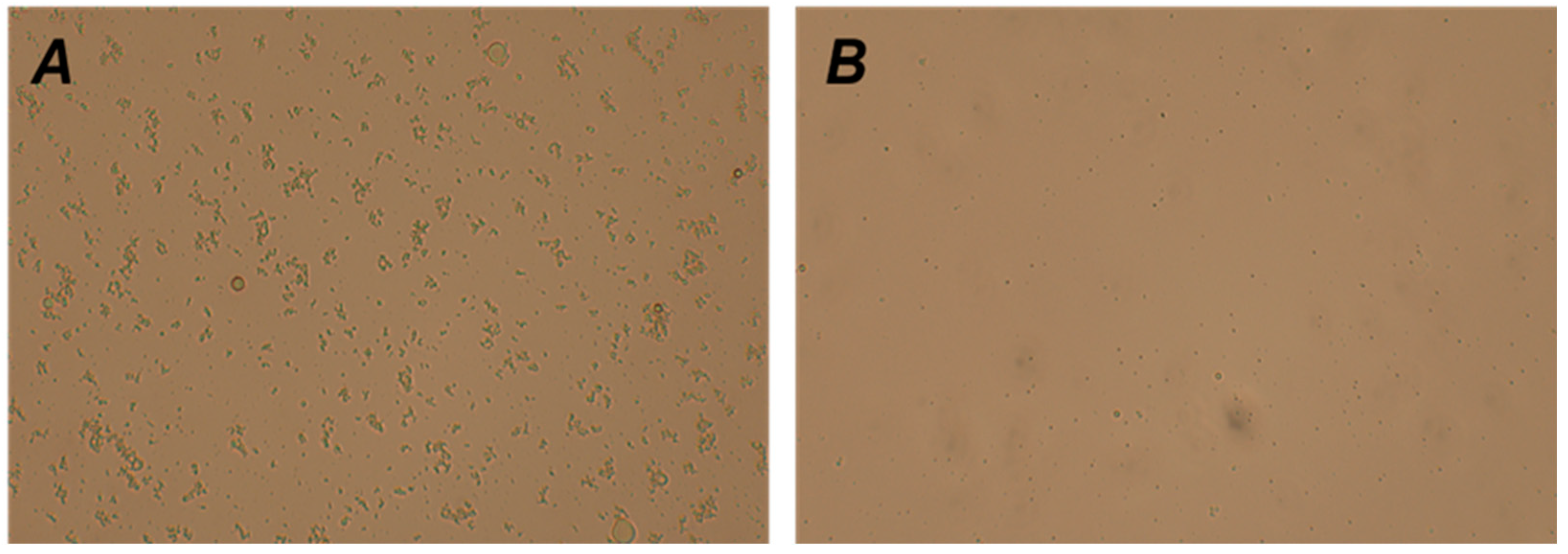 Animals 15 00599 g001