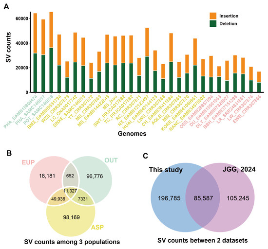 Chromosome-Level Genome Assembly of the Meishan Pig and Insights