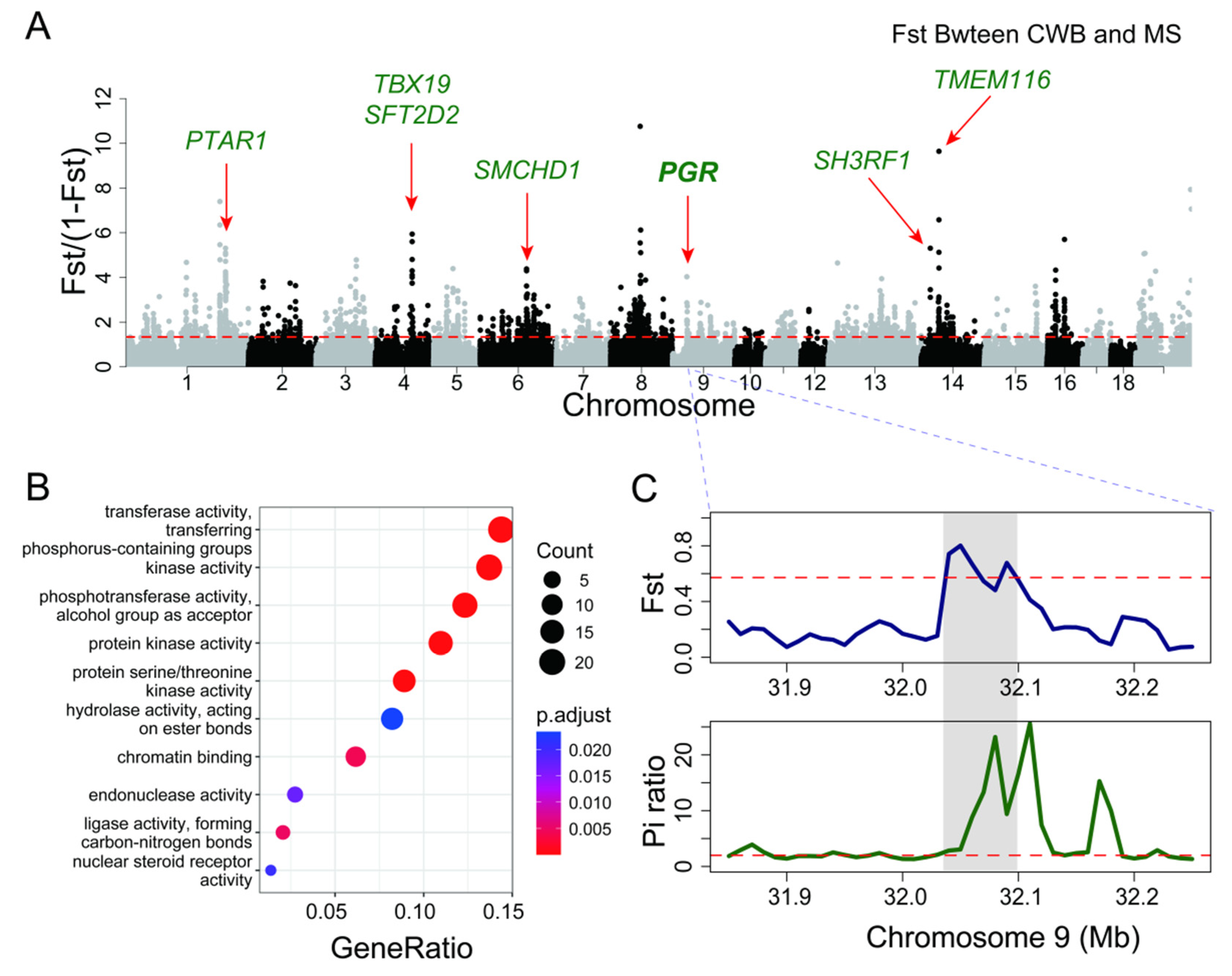 Animals 15 00603 g004