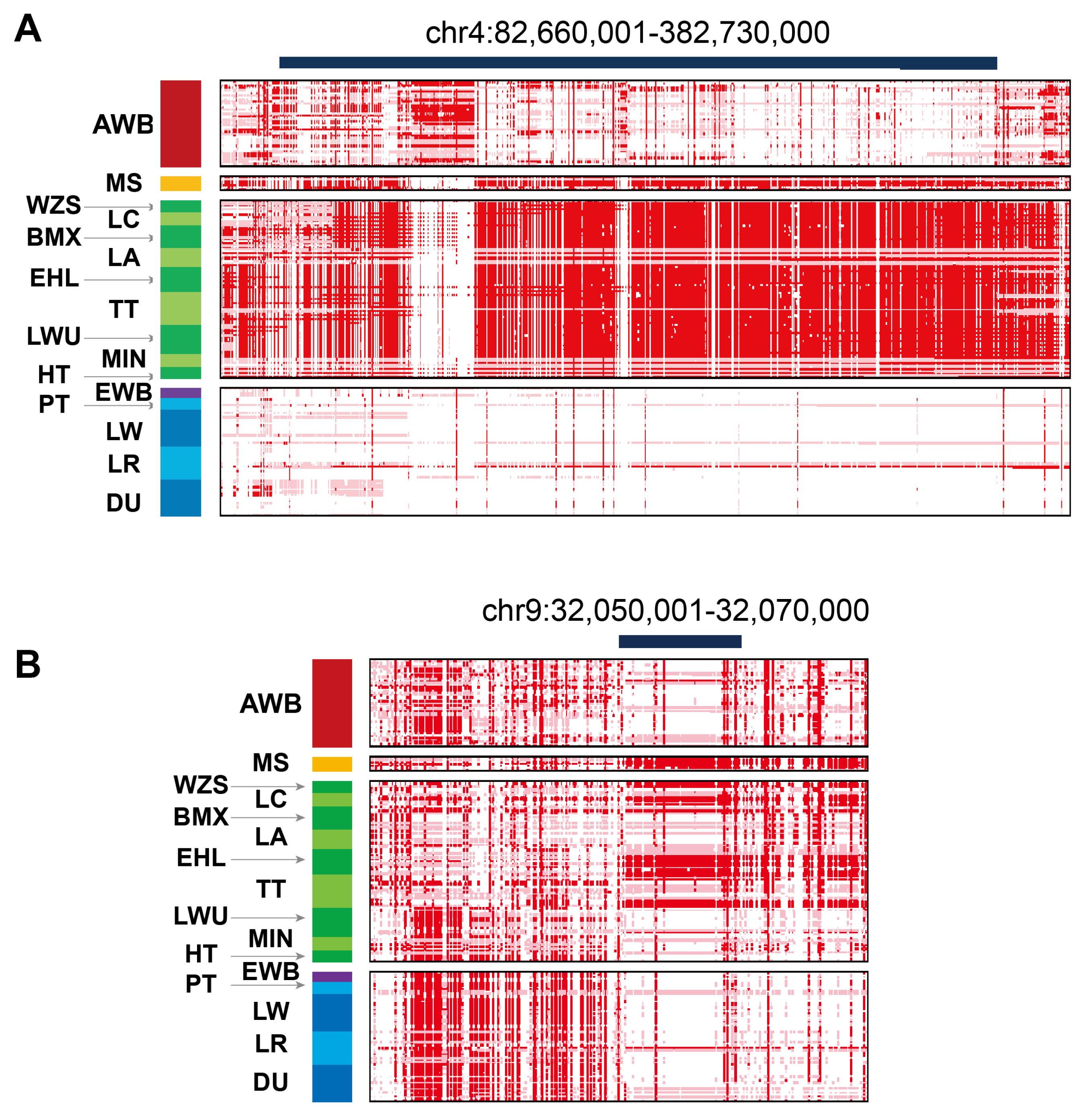 Animals 15 00603 g005