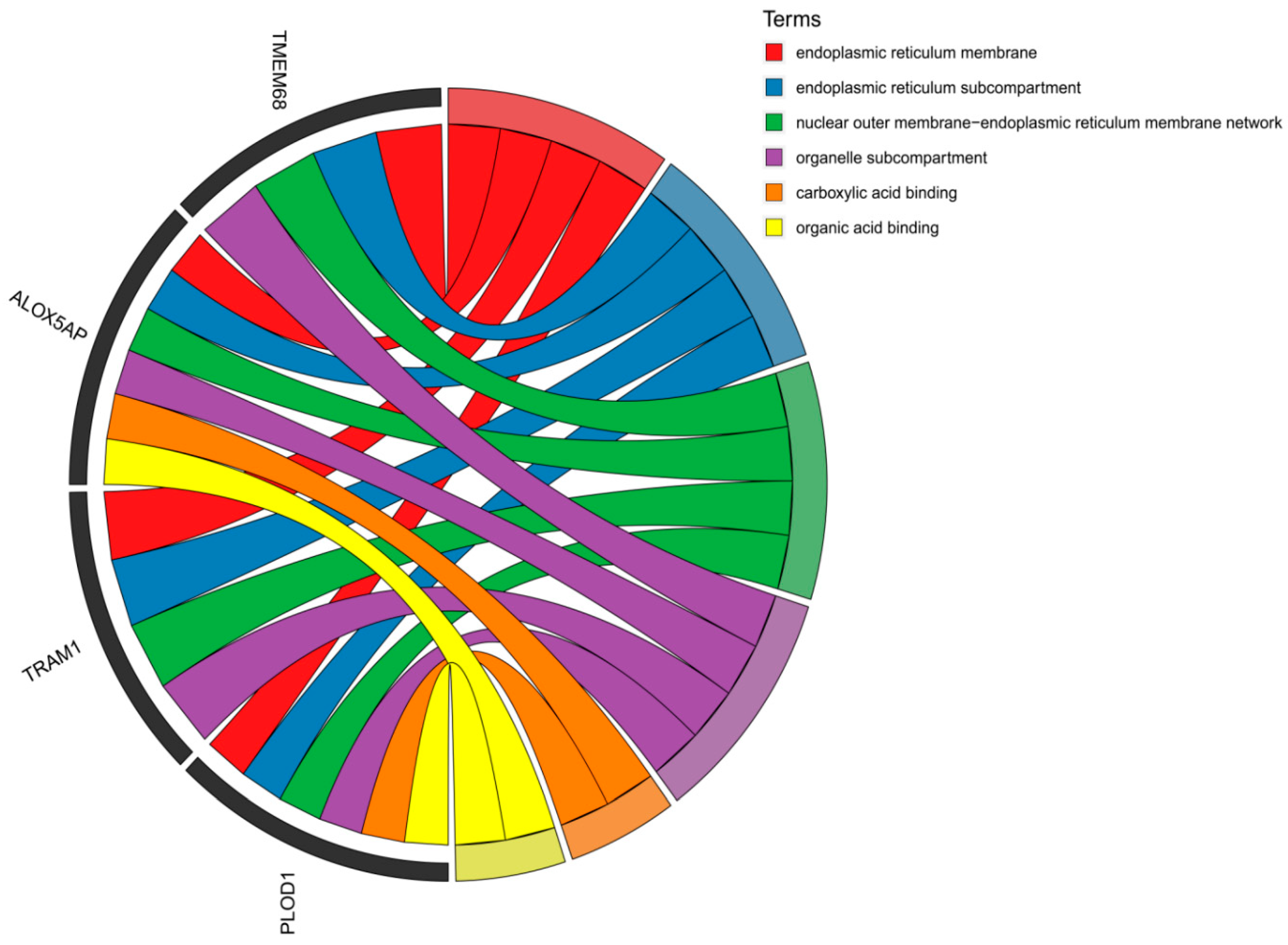 Animals 15 00608 g004