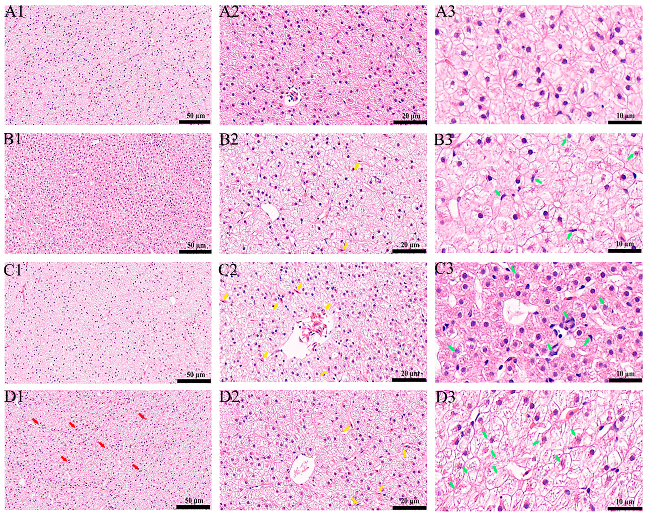 Animals 15 00610 g001