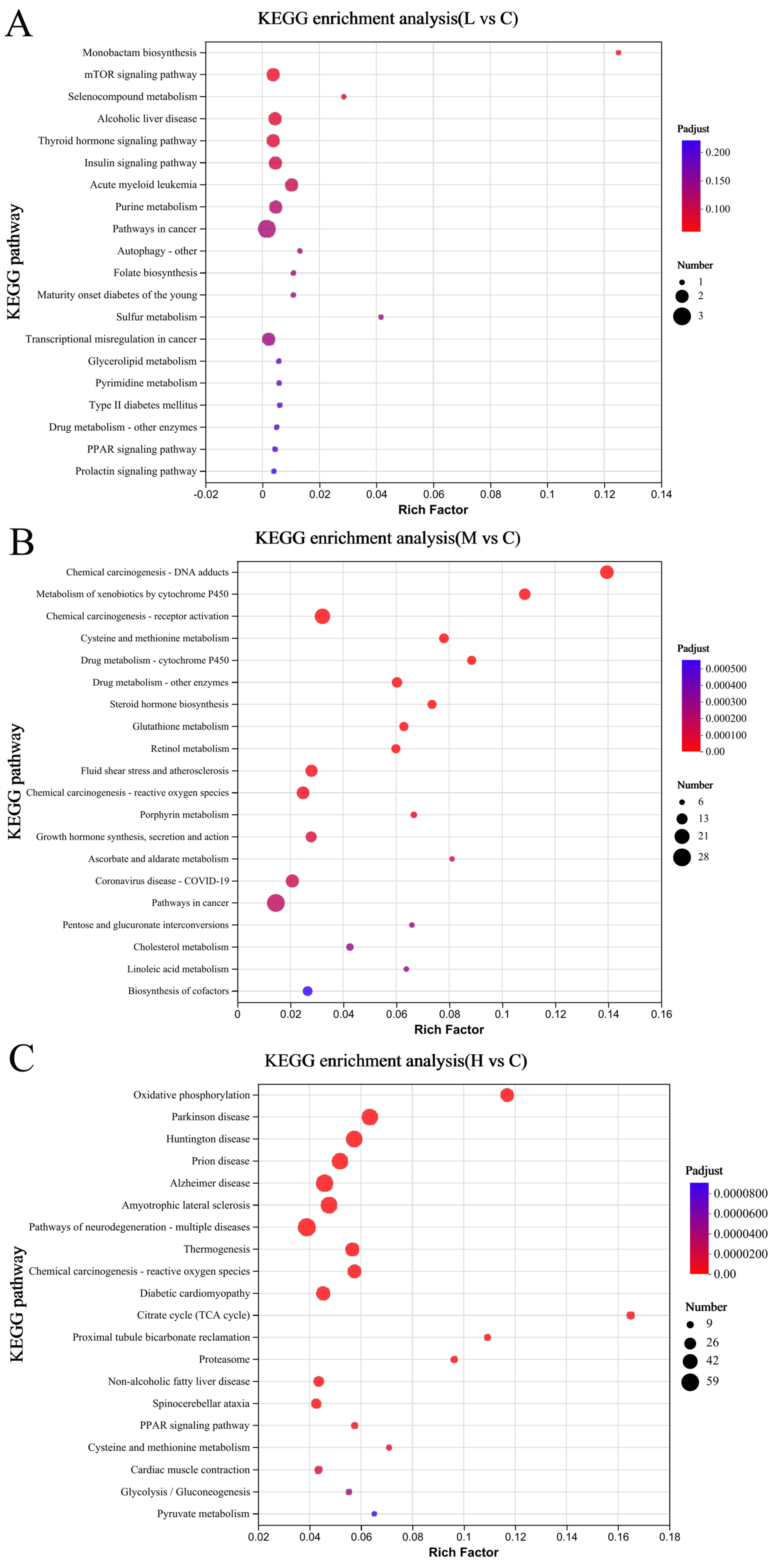 Animals 15 00610 g005