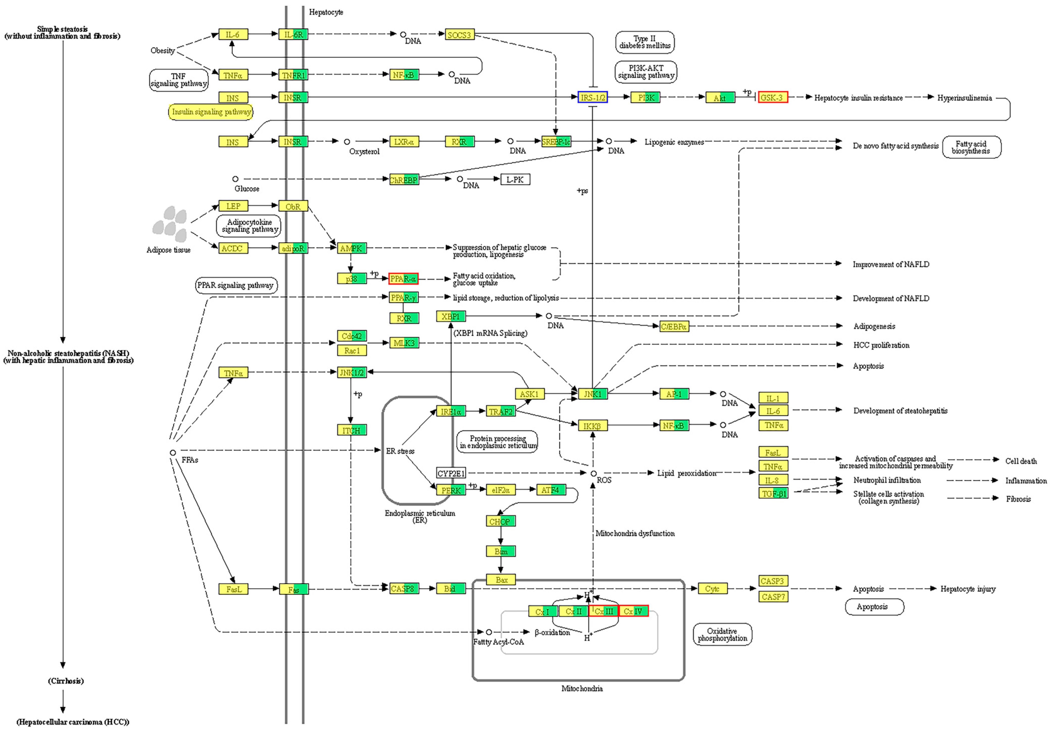 Animals 15 00610 g007