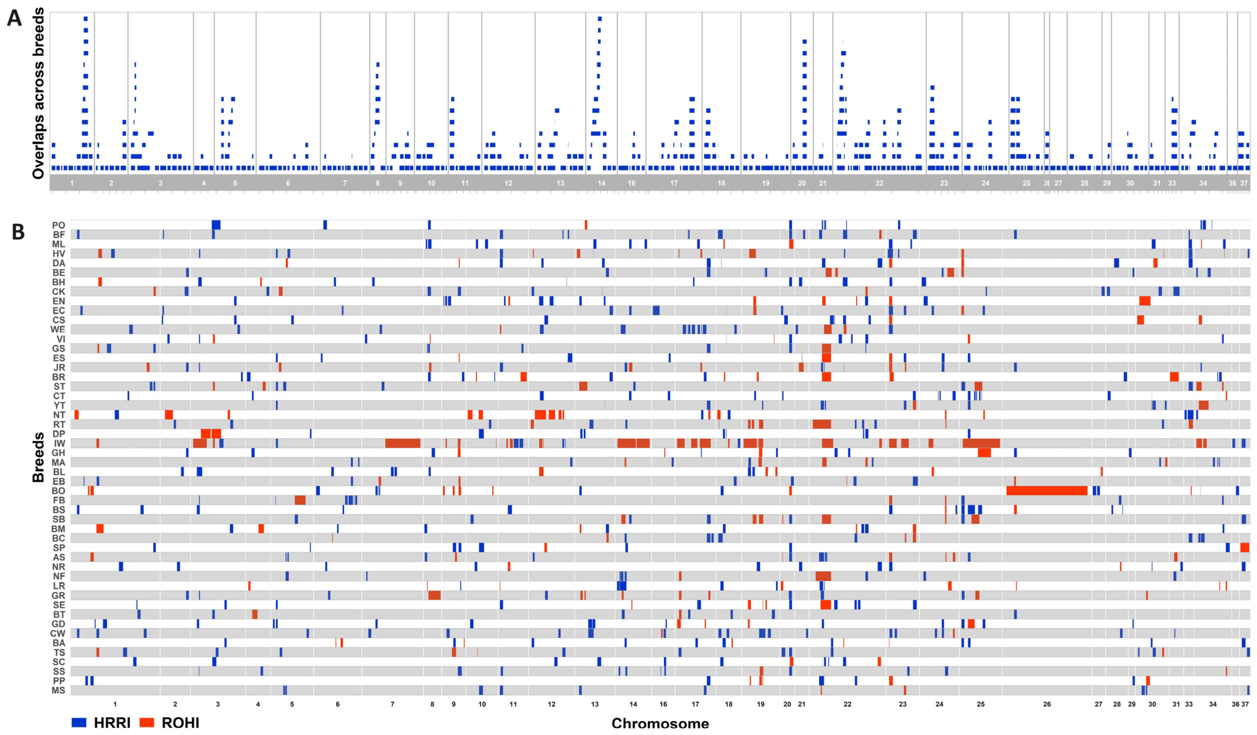 Animals 15 00612 g002