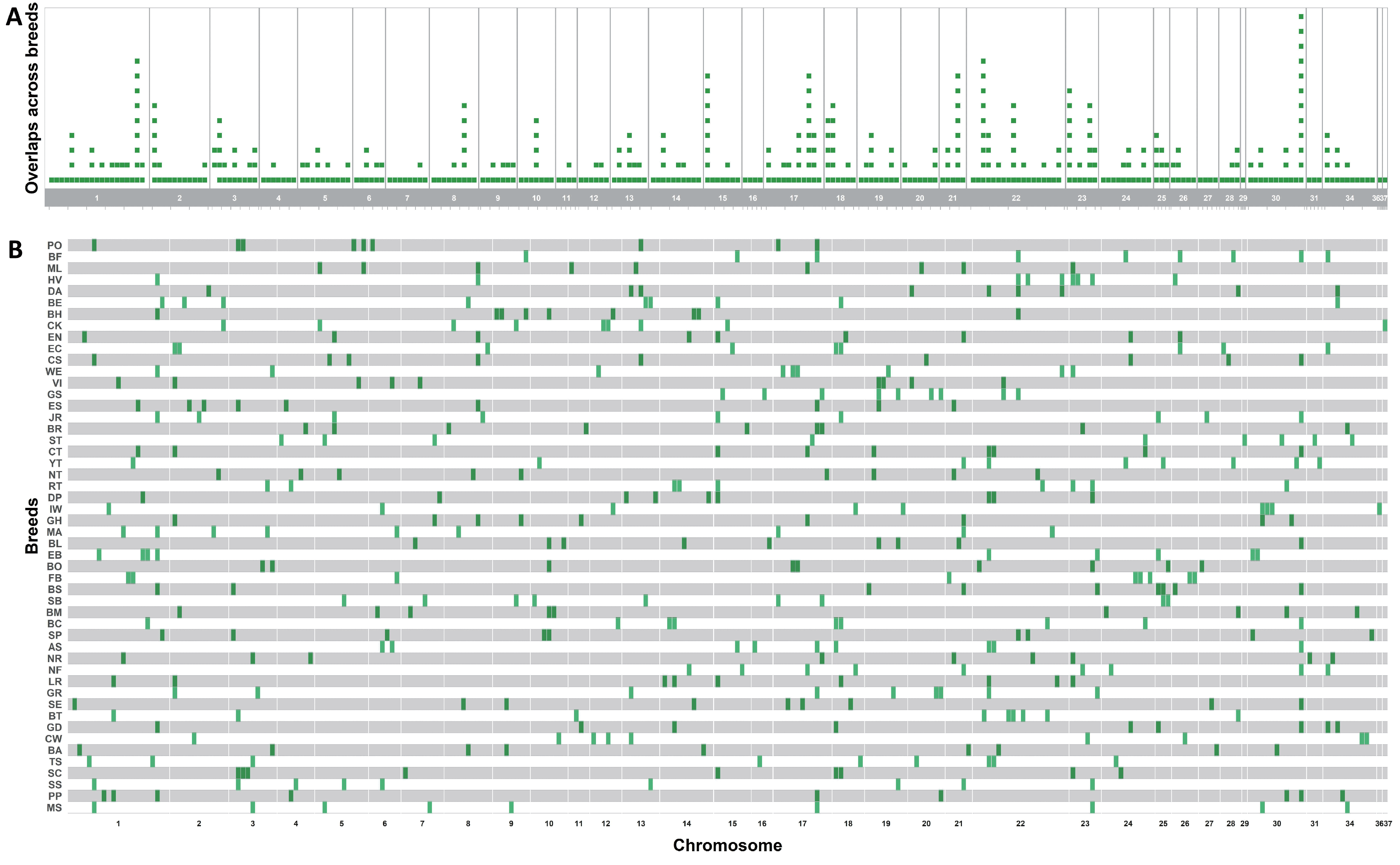 Animals 15 00612 g003