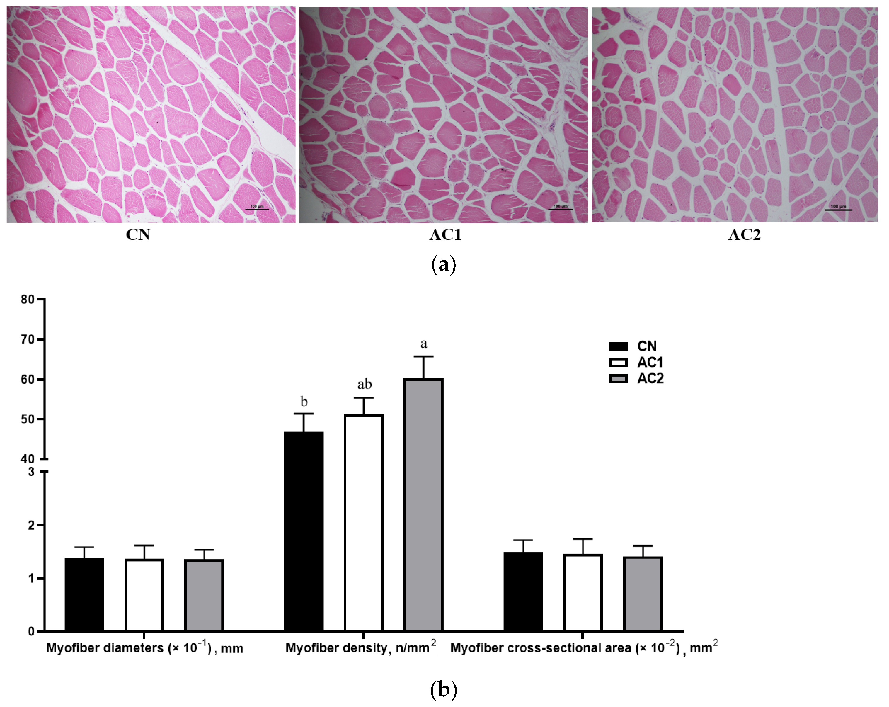 Animals 15 00614 g001