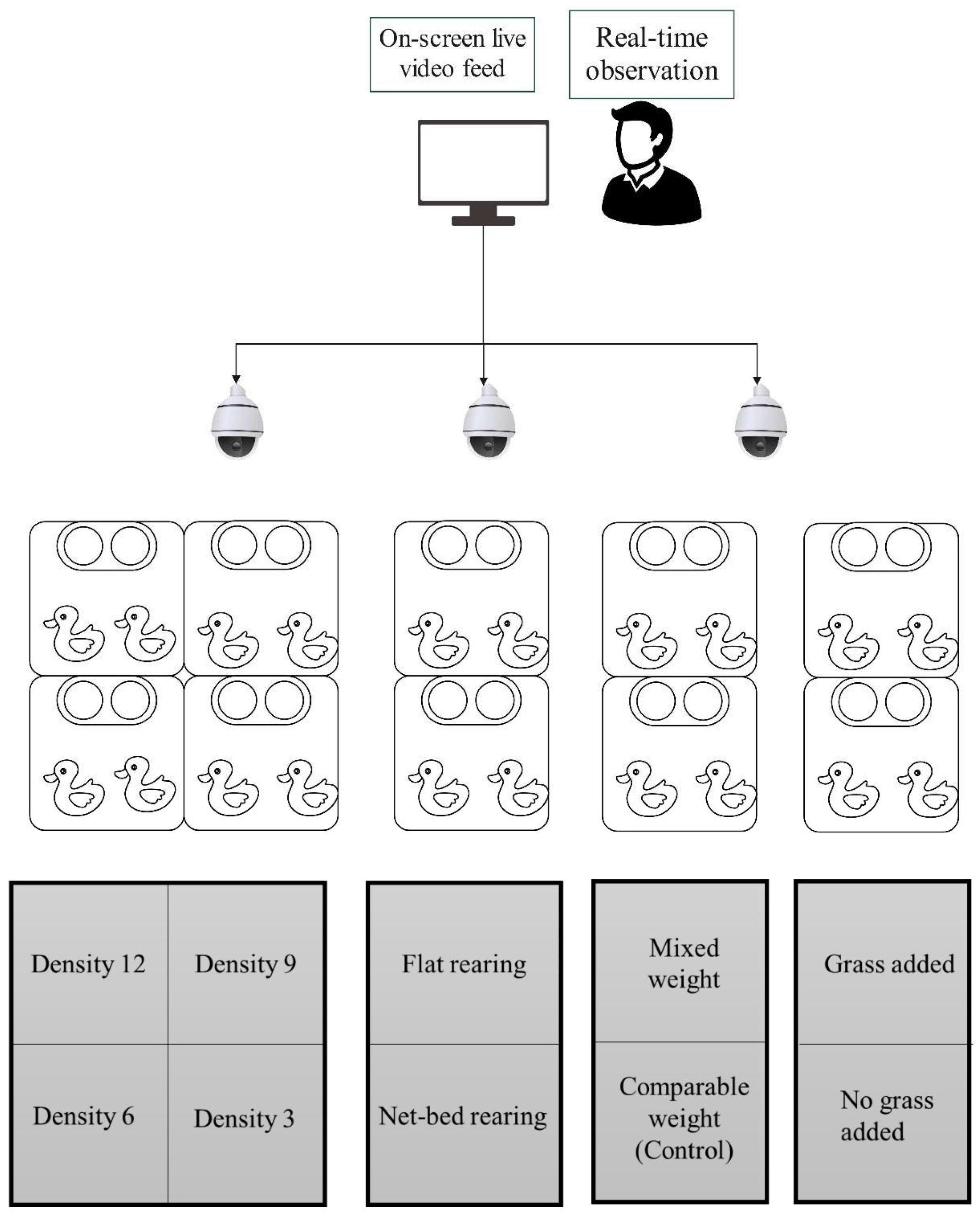 Animals 15 00616 g001