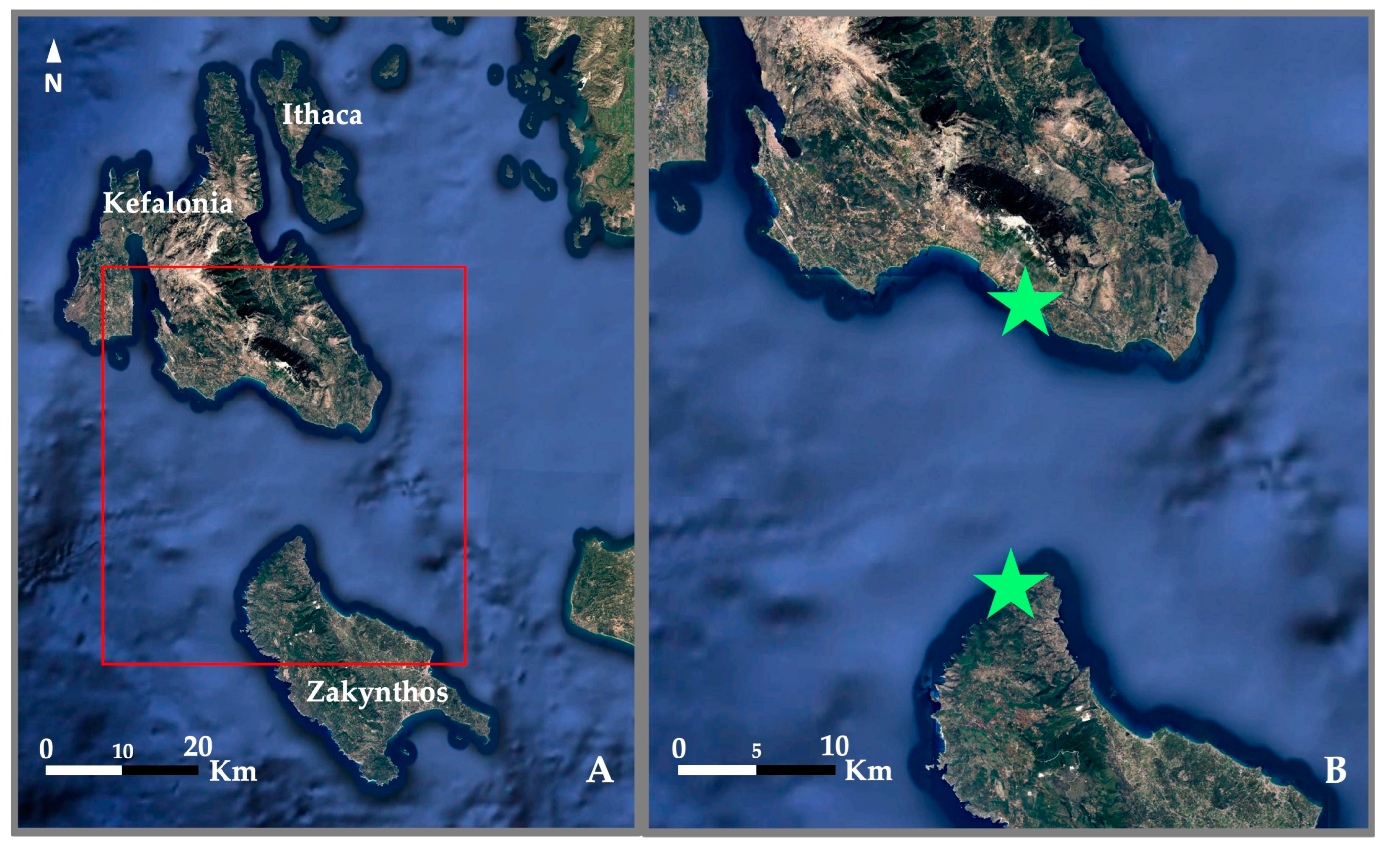 Animals 15 00617 g001