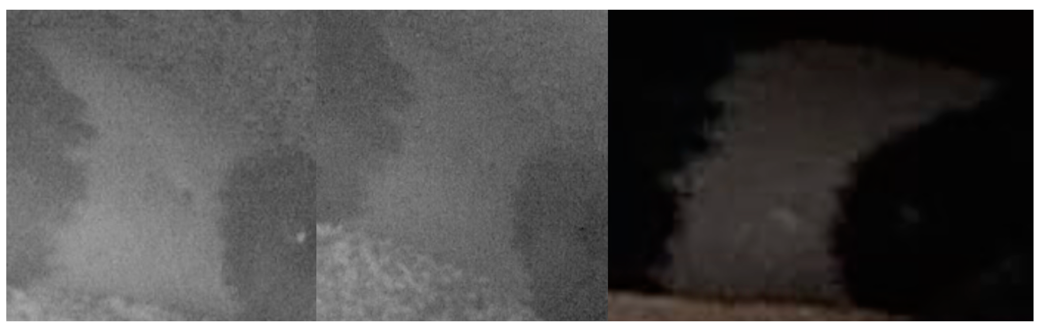 Animals 15 00617 g005