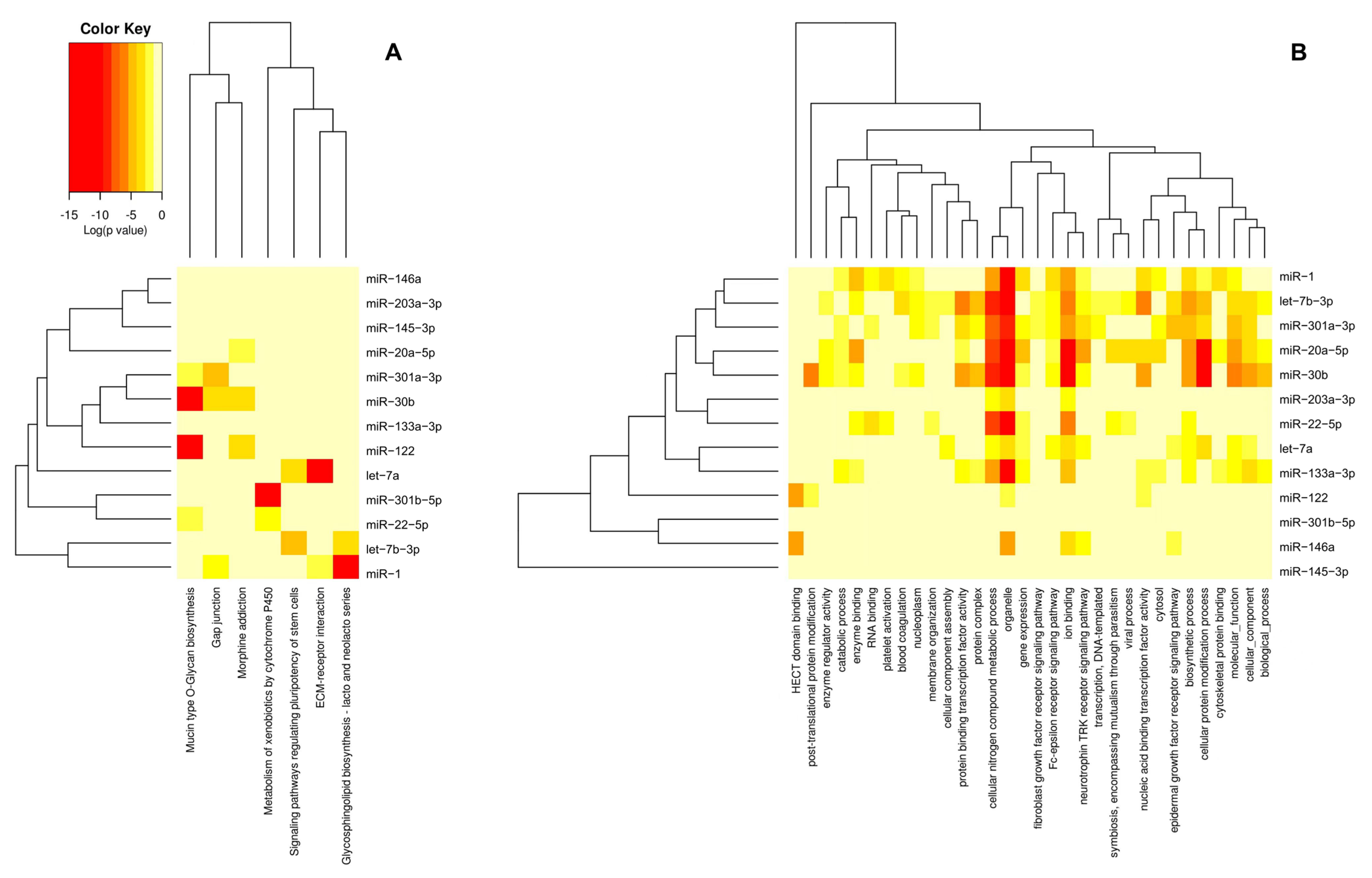 Animals 15 00624 g002
