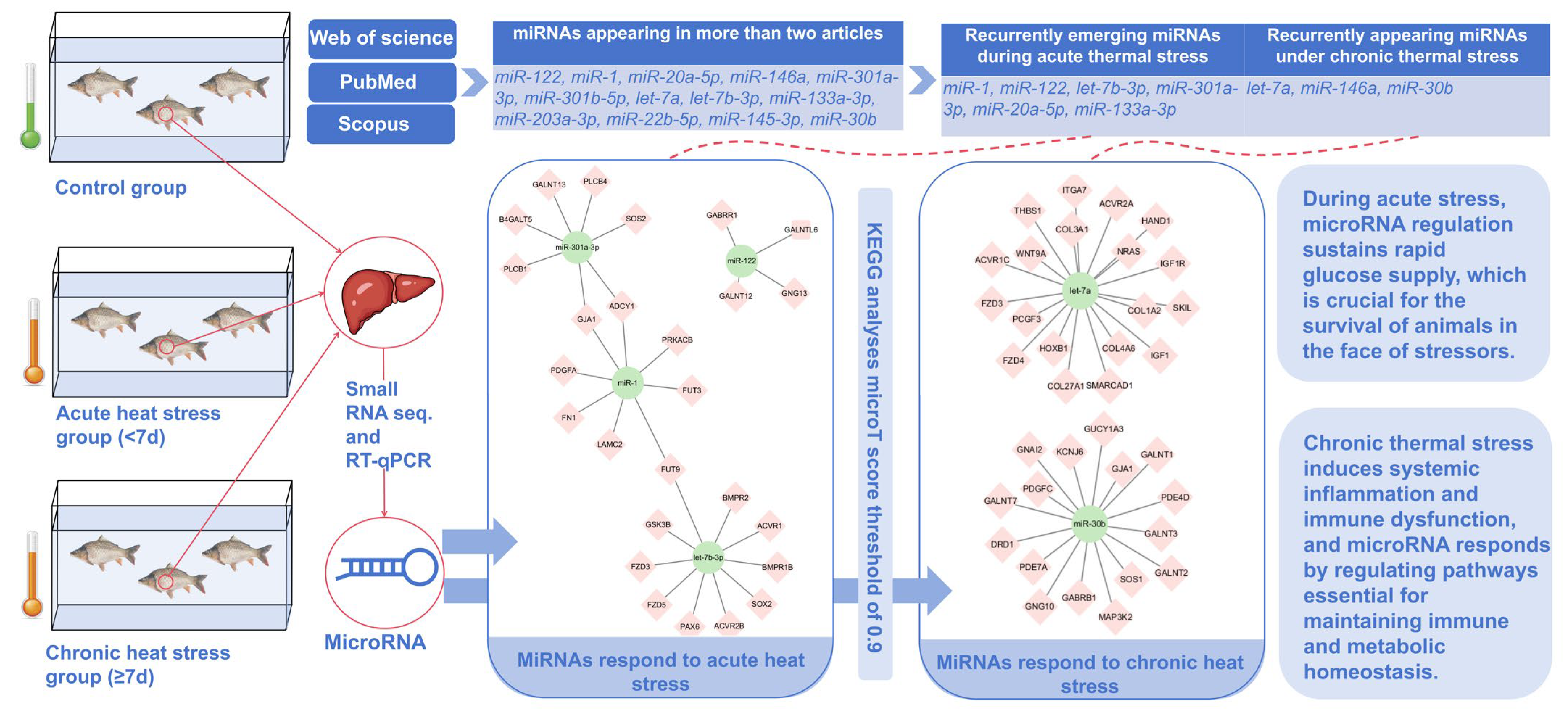 Animals 15 00624 g003