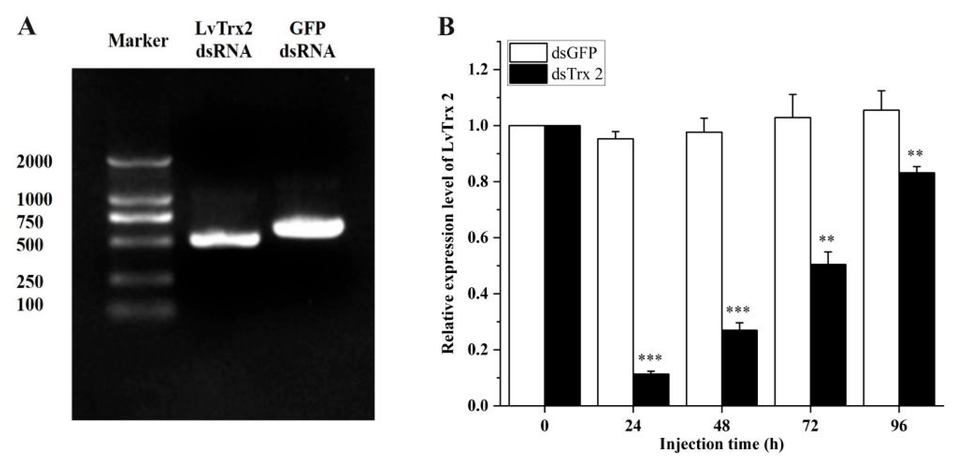 Animals 15 00629 g008