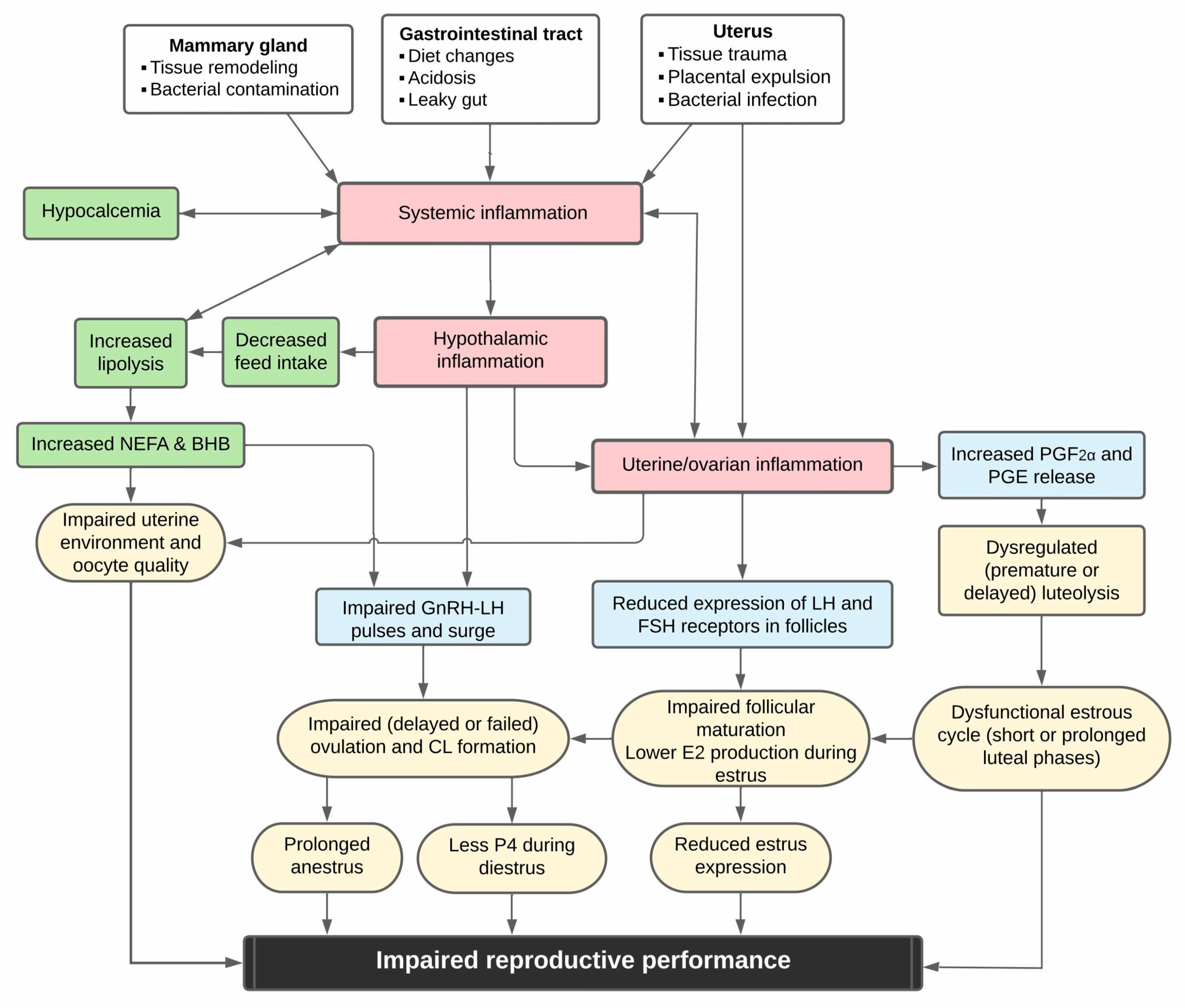 Animals 15 00633 g001