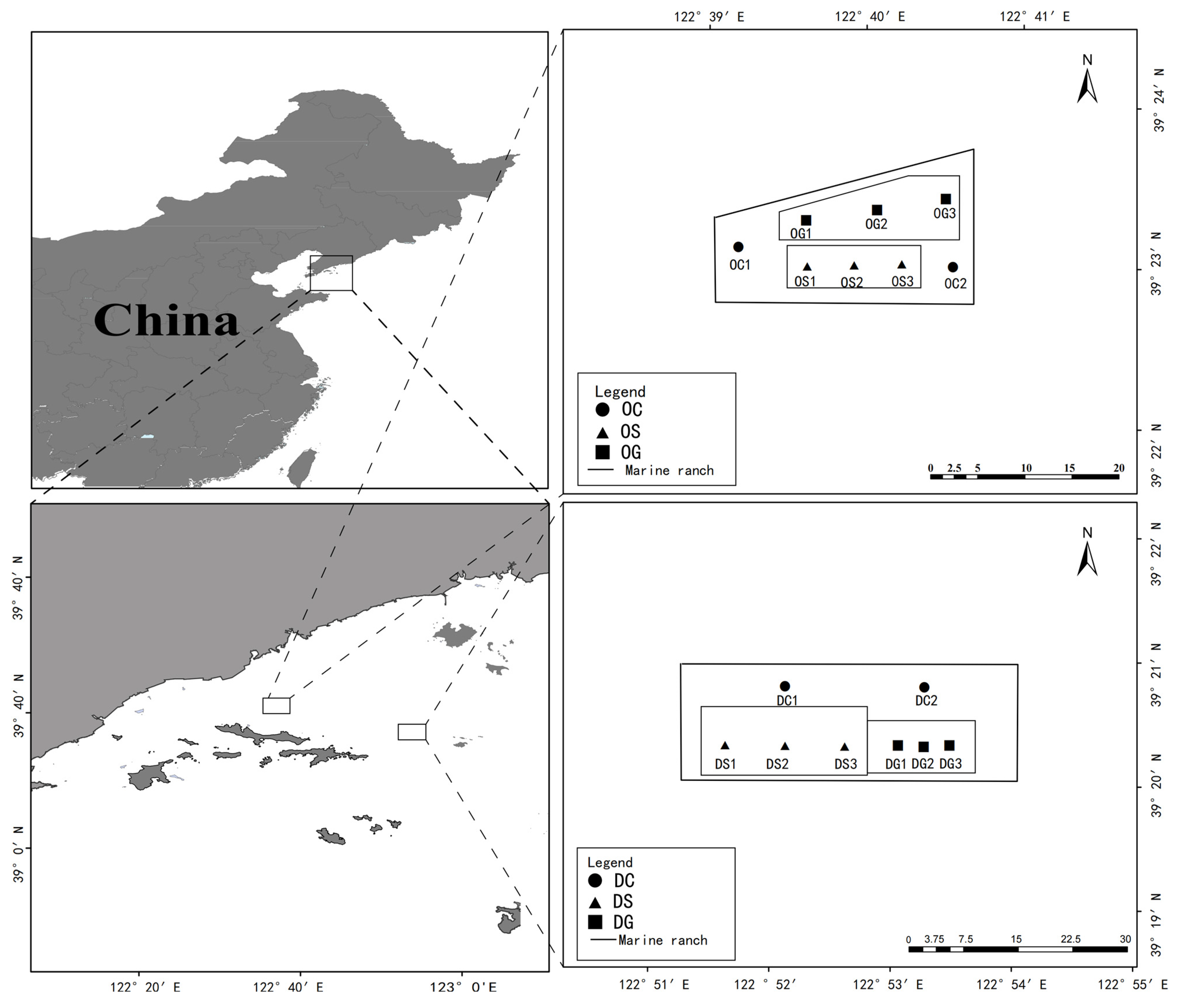 Animals 15 00639 g001