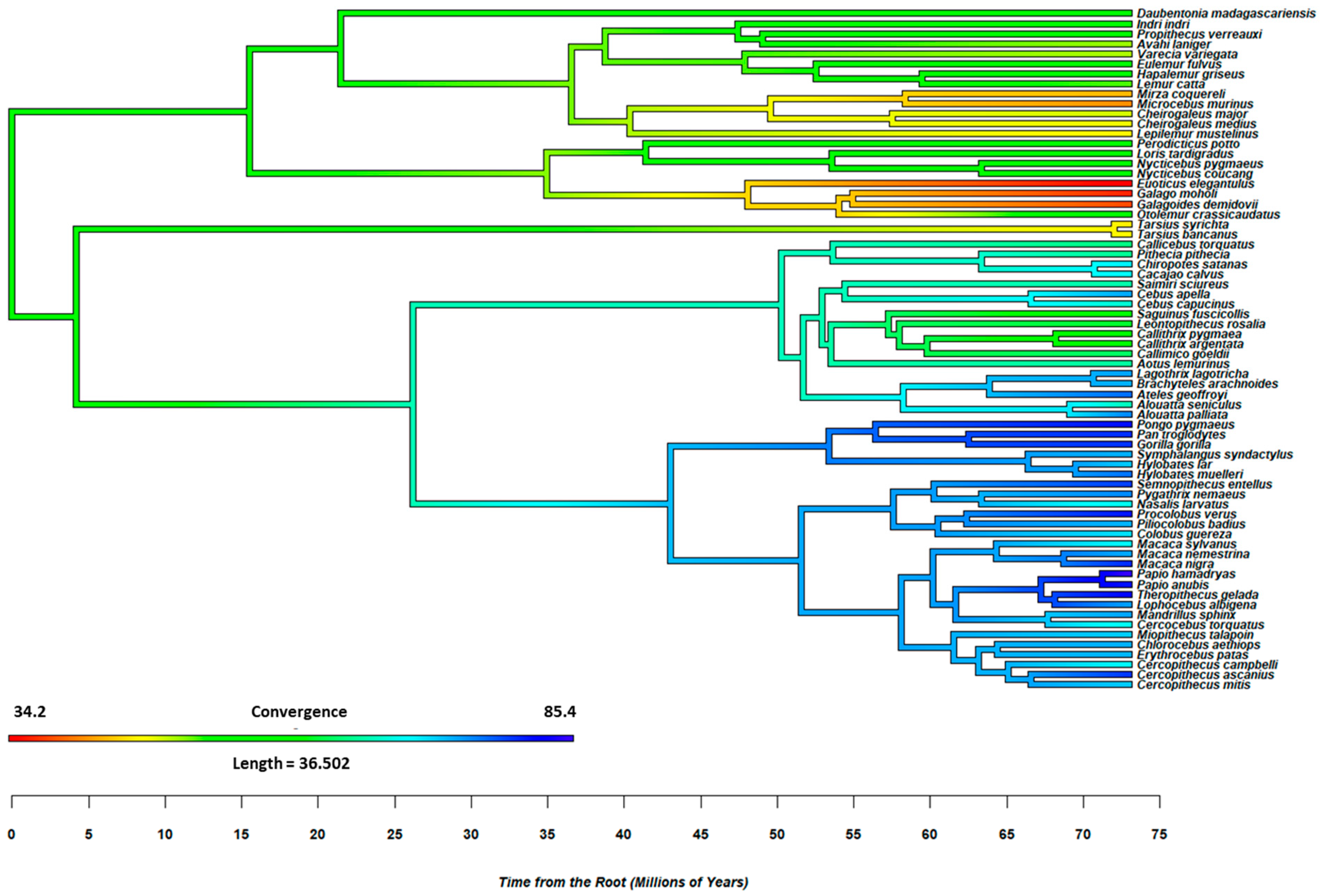 Animals 15 00641 g001