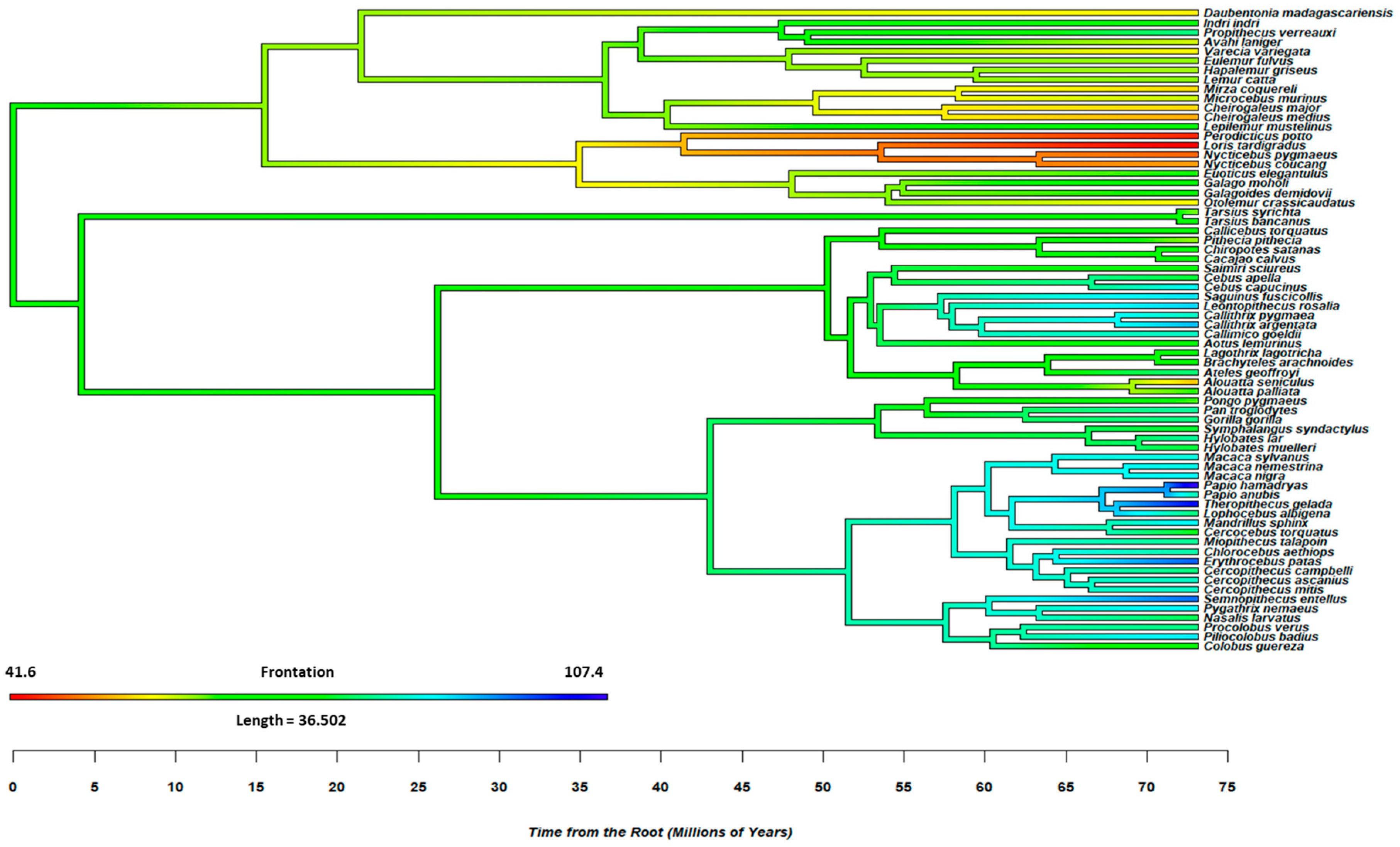 Animals 15 00641 g002