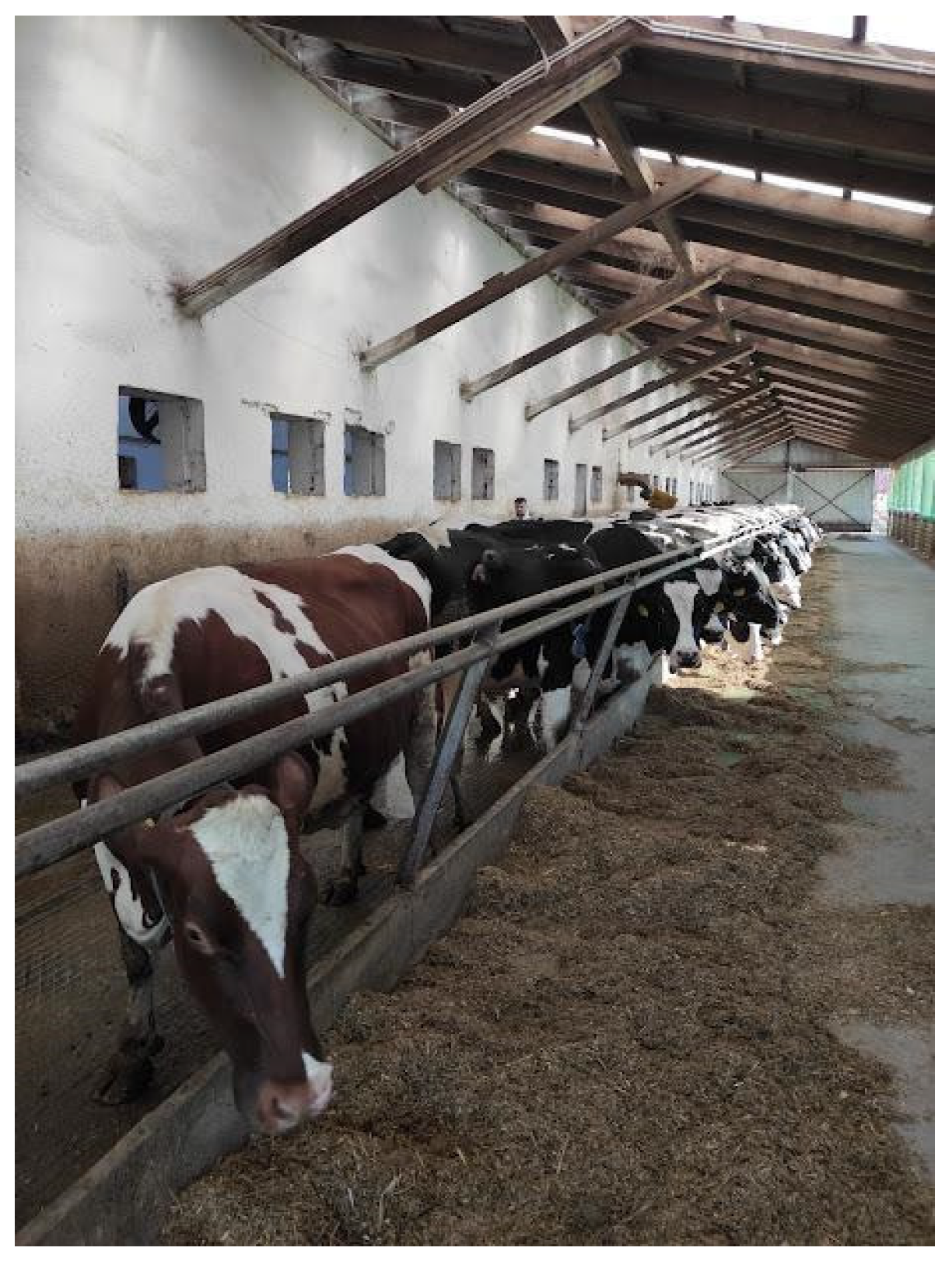 Animals 15 00643 g002