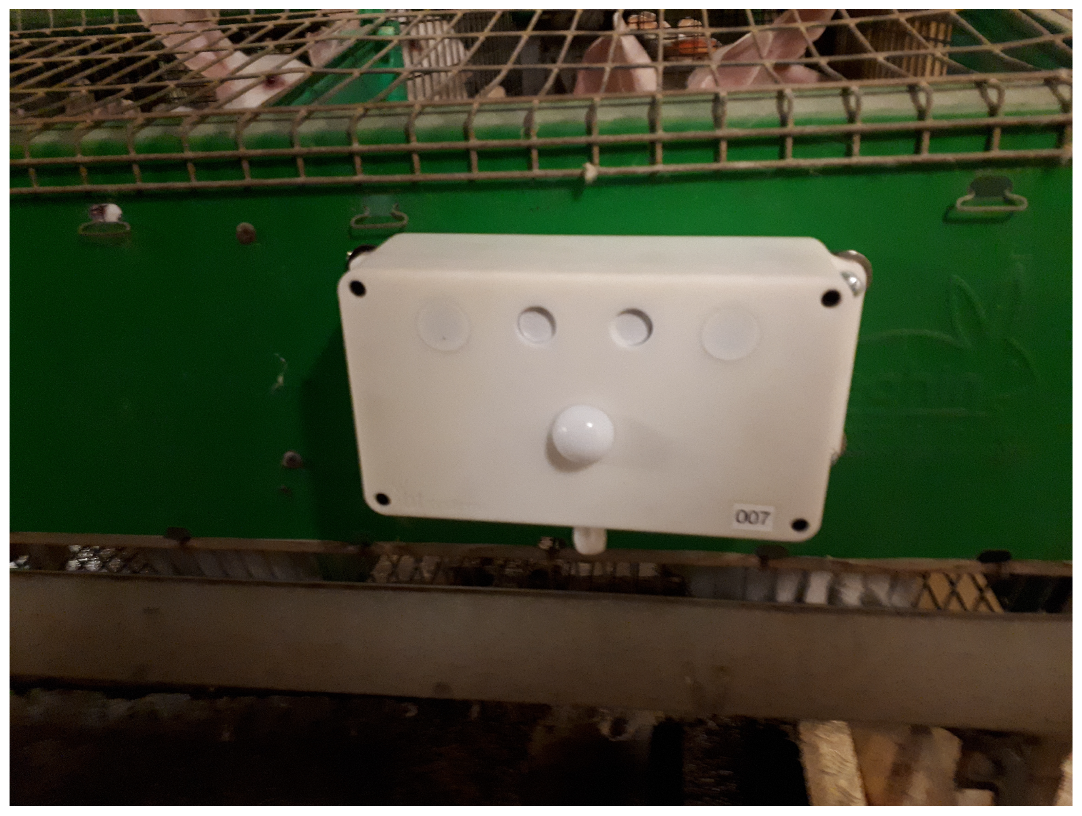 Animals 15 00644 g005