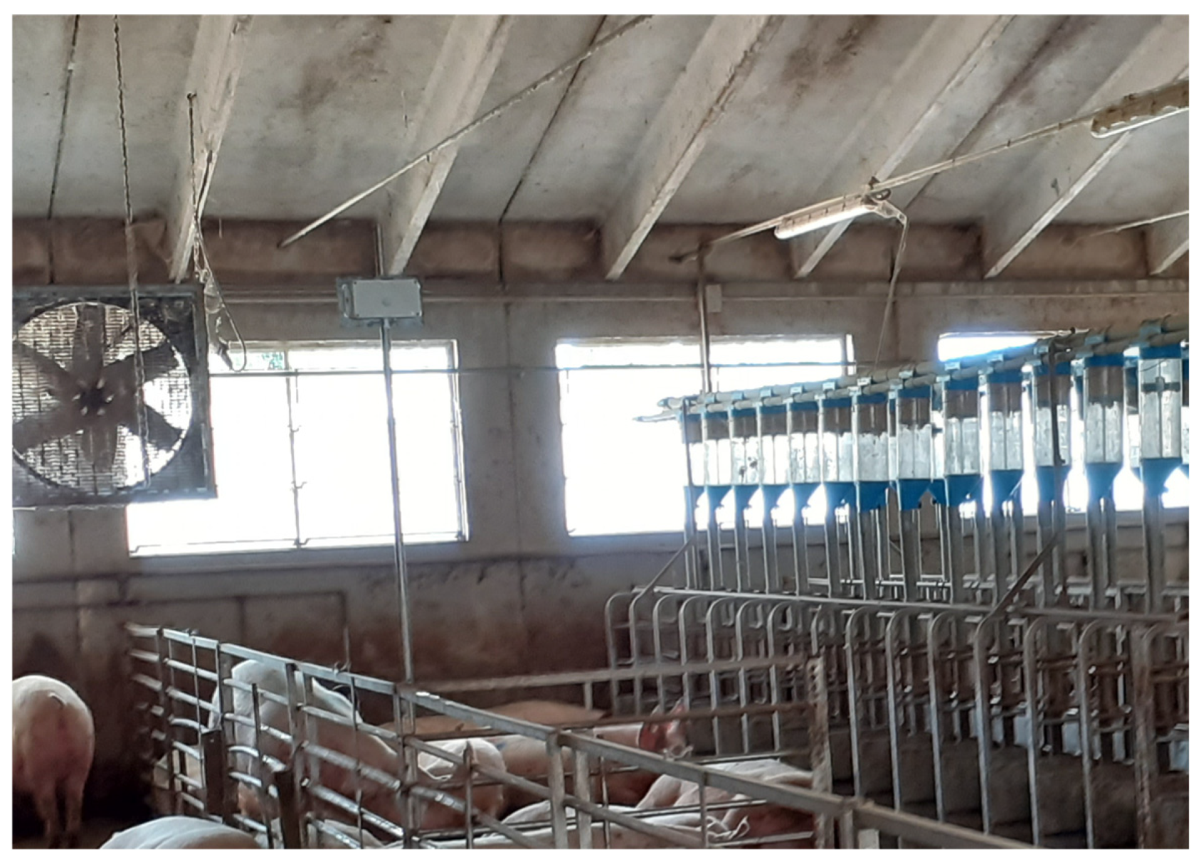 Animals 15 00644 g006