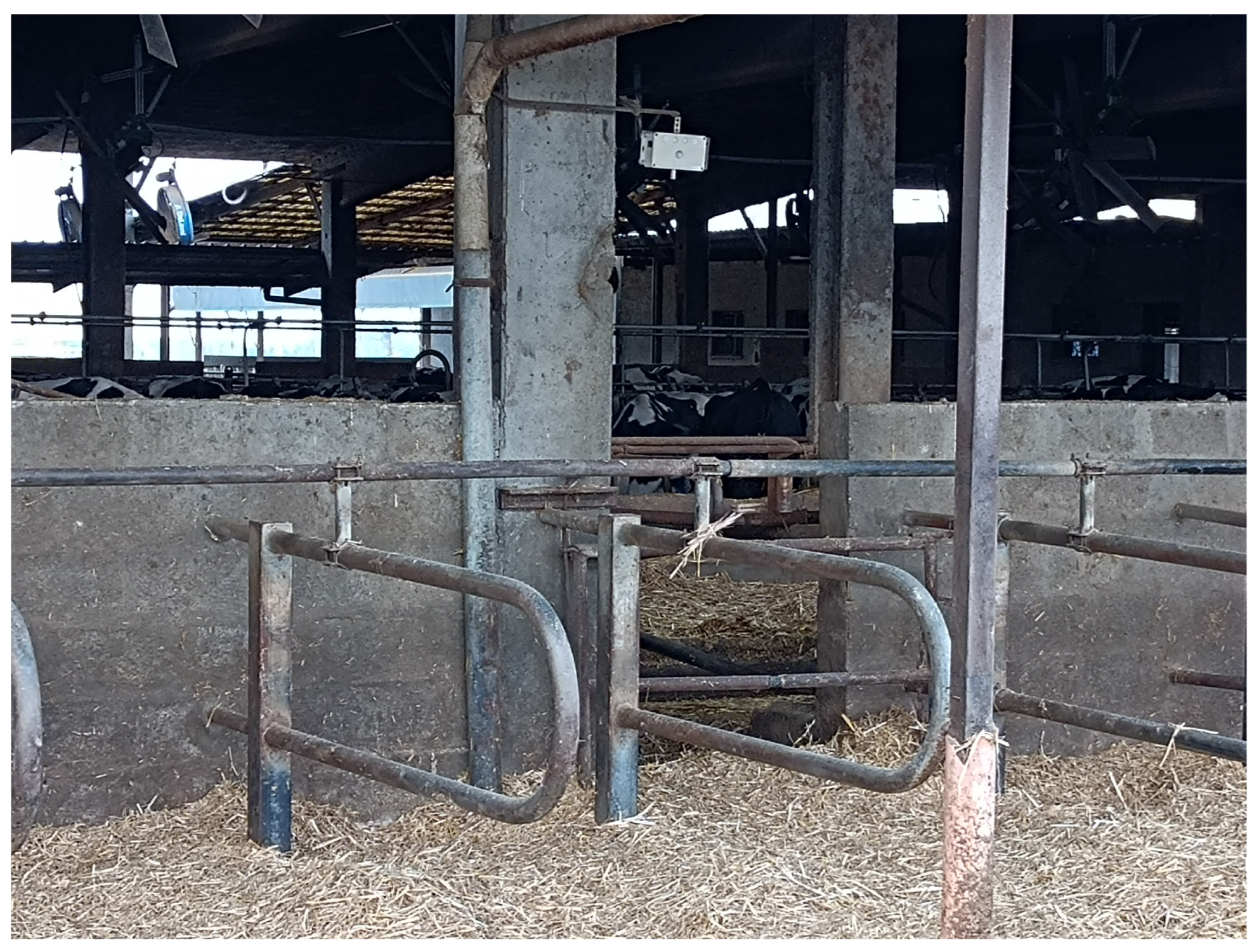 Animals 15 00644 g007