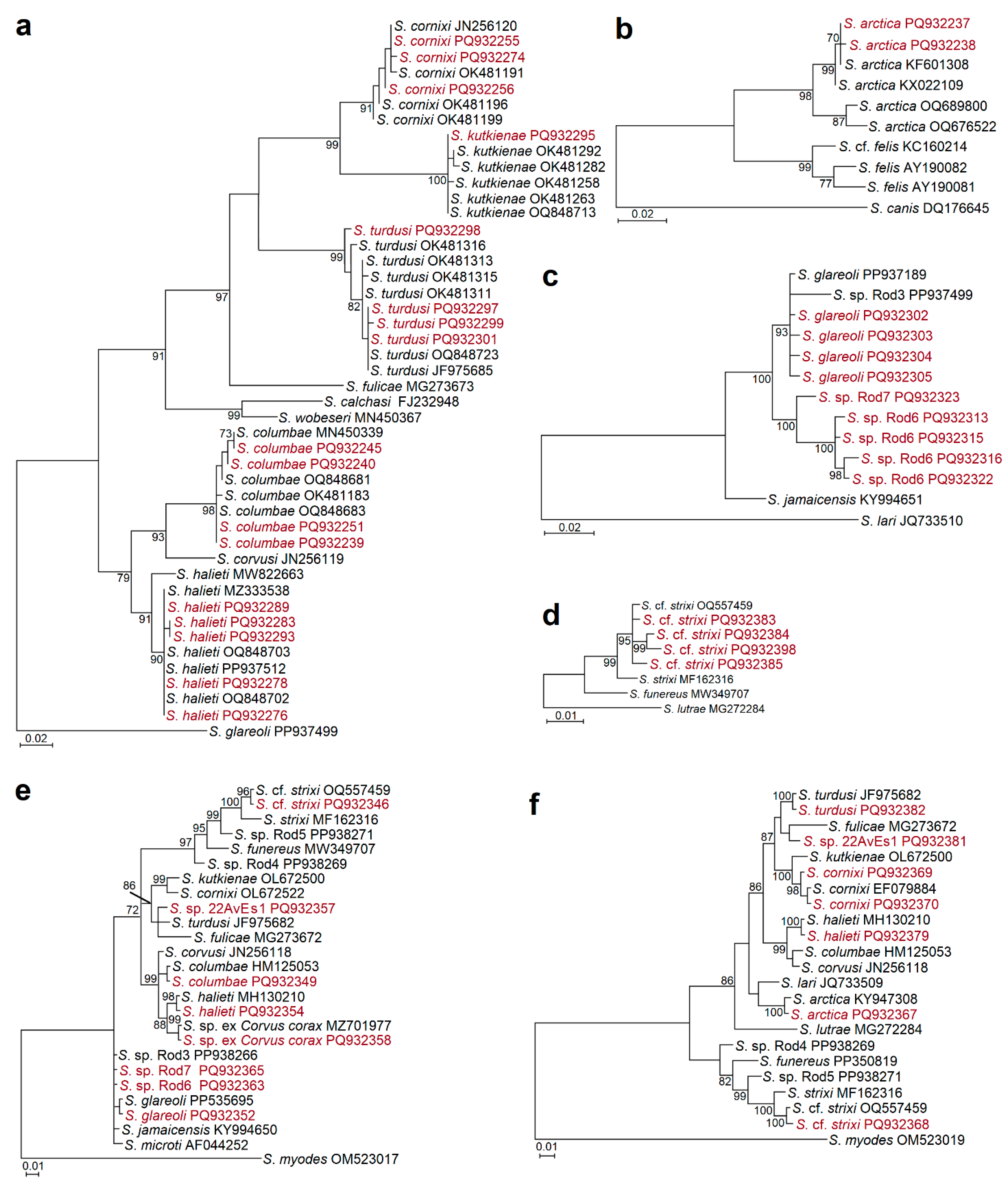 Animals 15 00646 g001 Animals 15 00646 g001