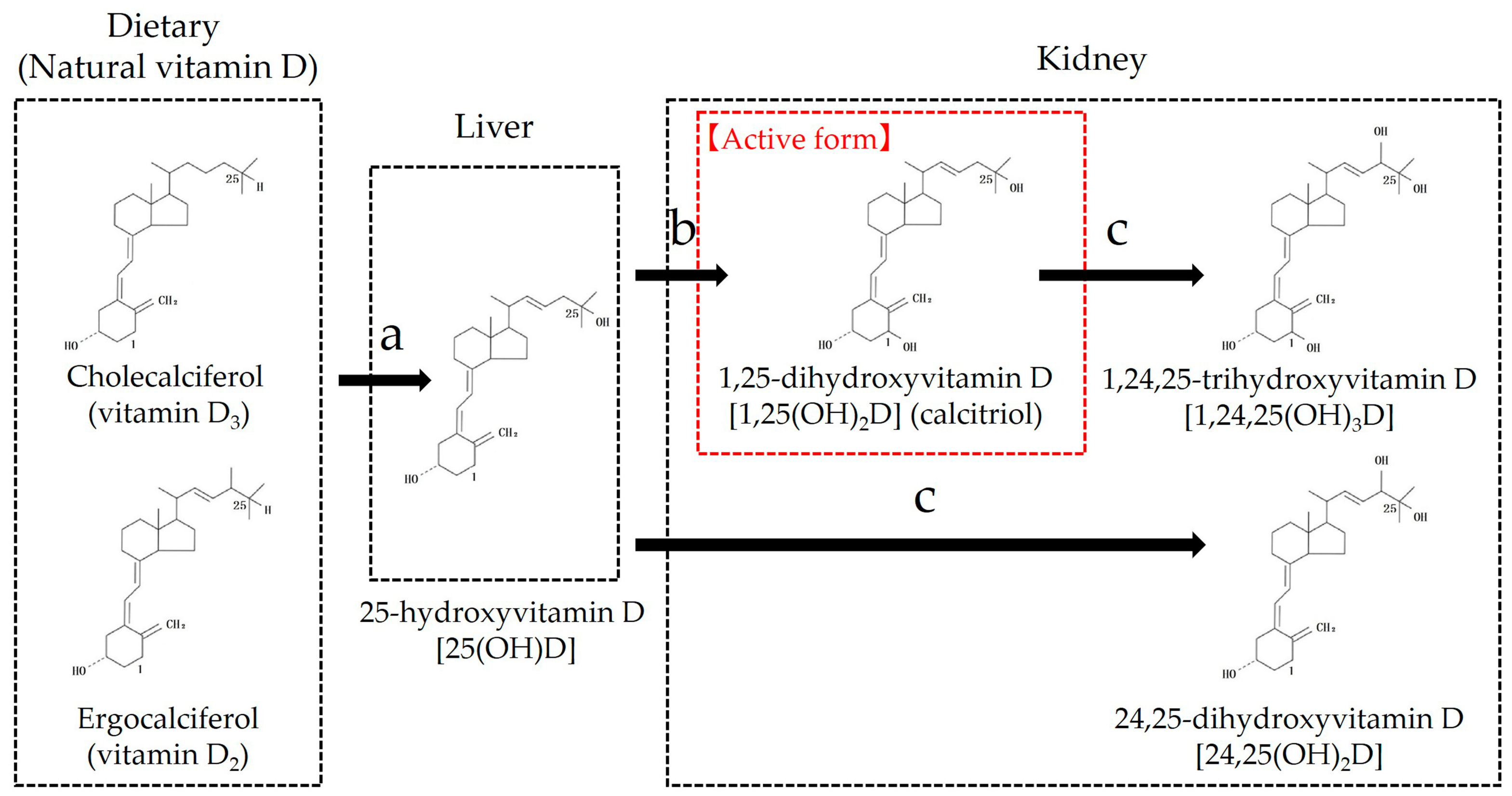 Animals 15 00649 g003 Animals 15 00649 g003