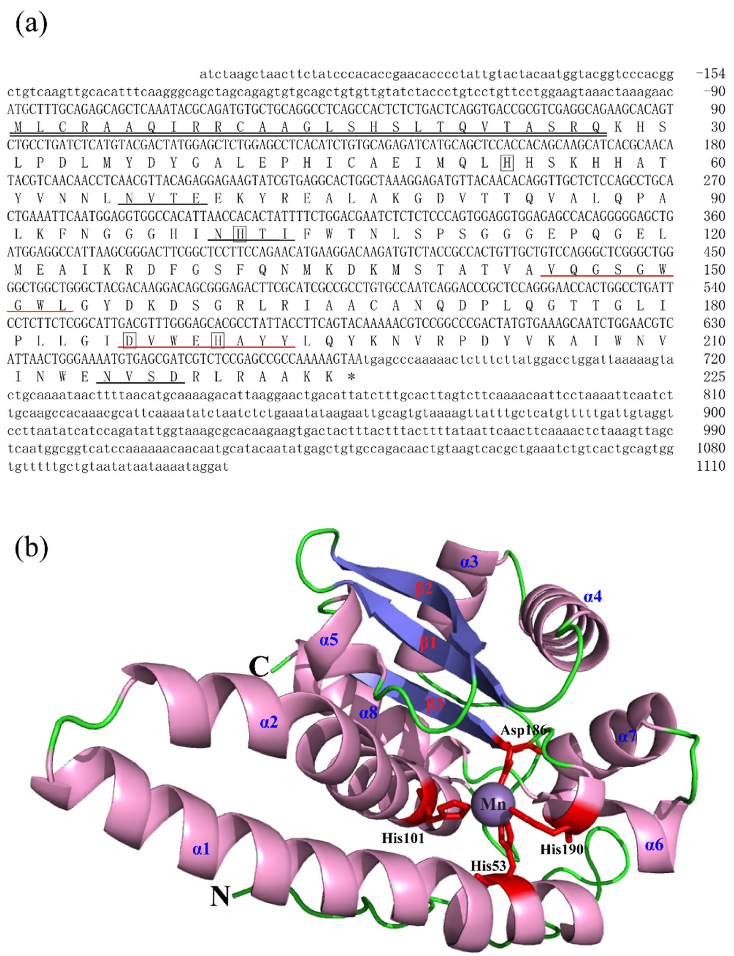 Animals 15 00653 g002