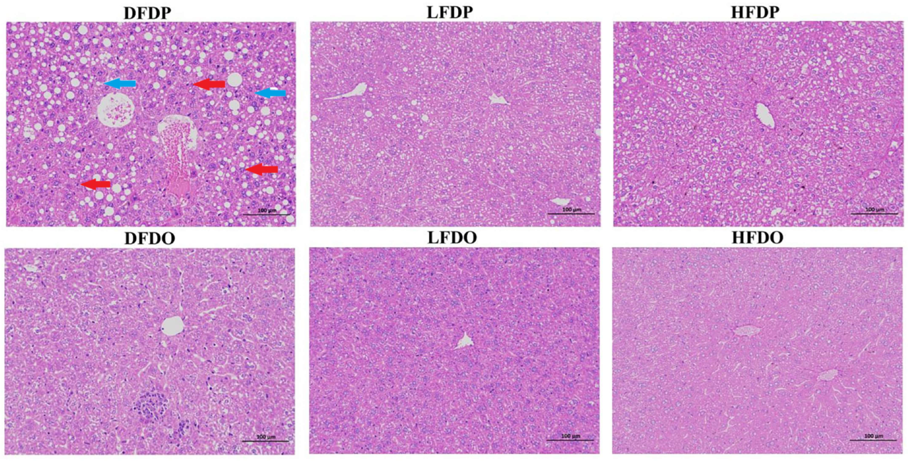 Animals 15 00655 g006 Animals 15 00655 g006