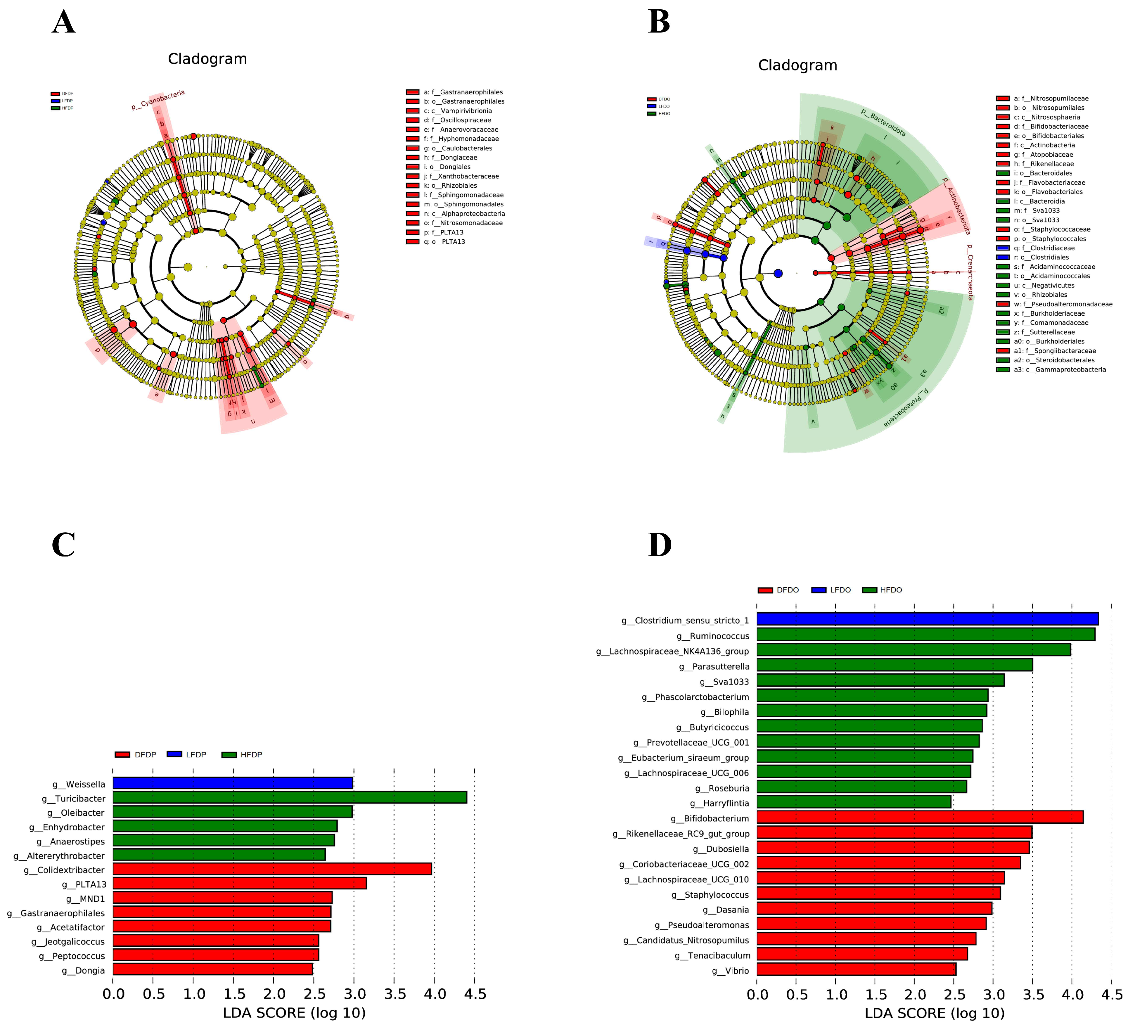 Animals 15 00655 g011 Animals 15 00655 g011