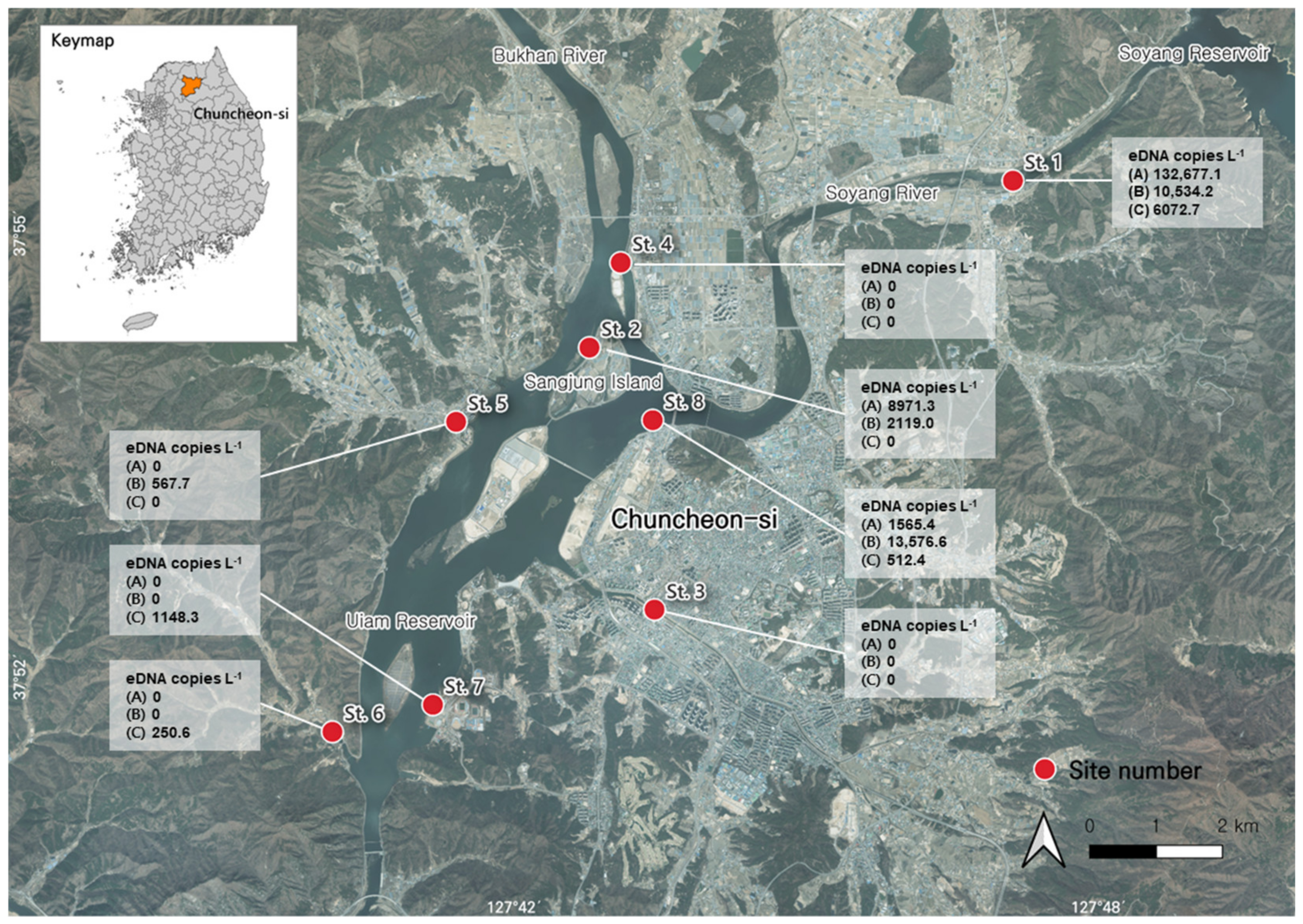 Animals 15 00659 g003