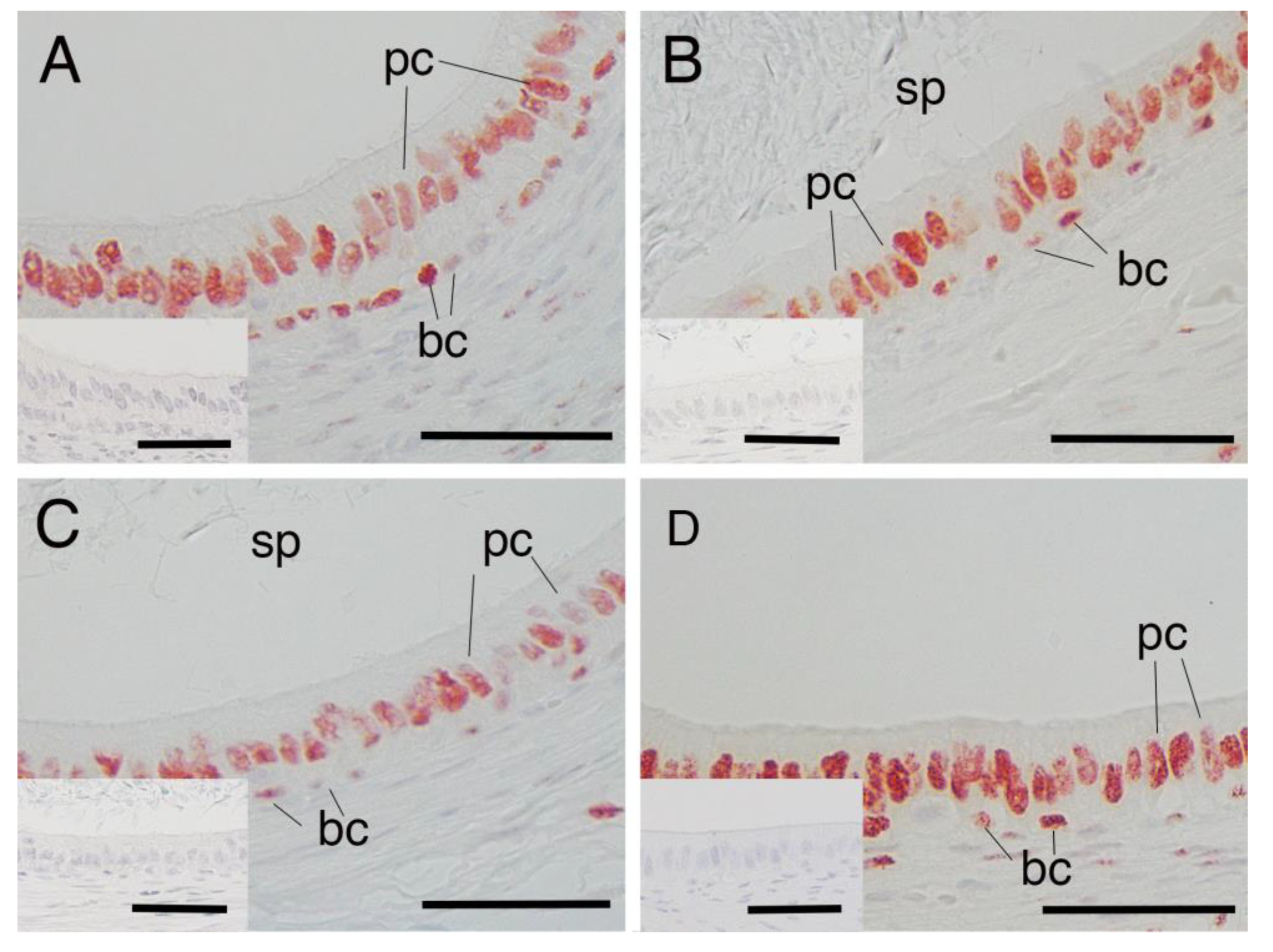 Animals 15 00660 g001