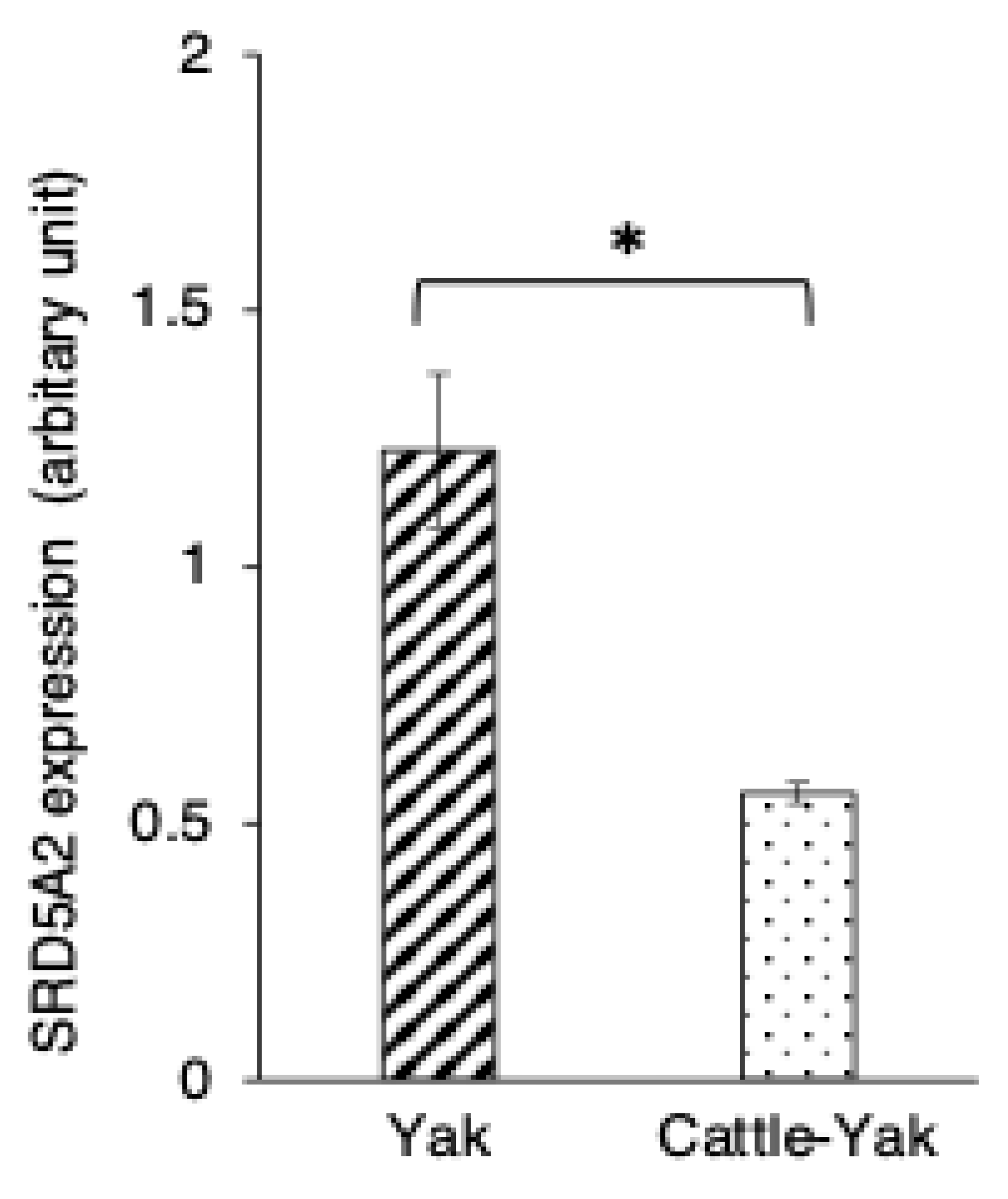 Animals 15 00660 g006