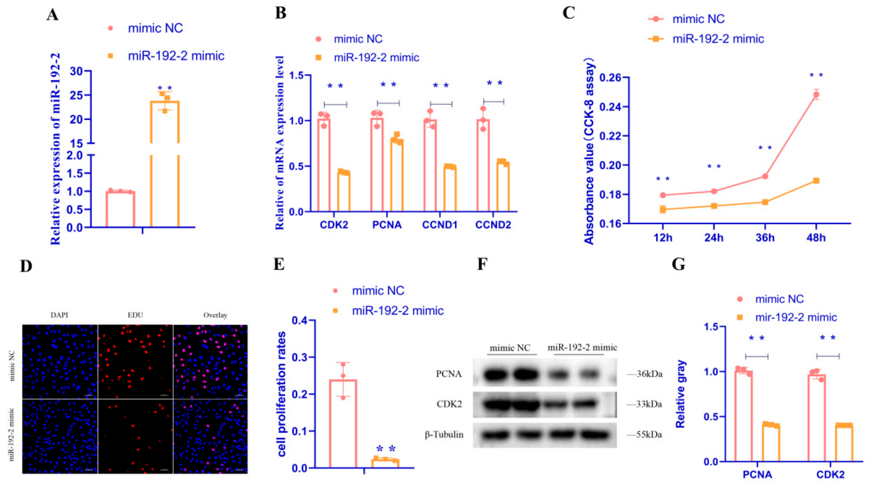 Animals 15 00663 g001 Animals 15 00663 g001