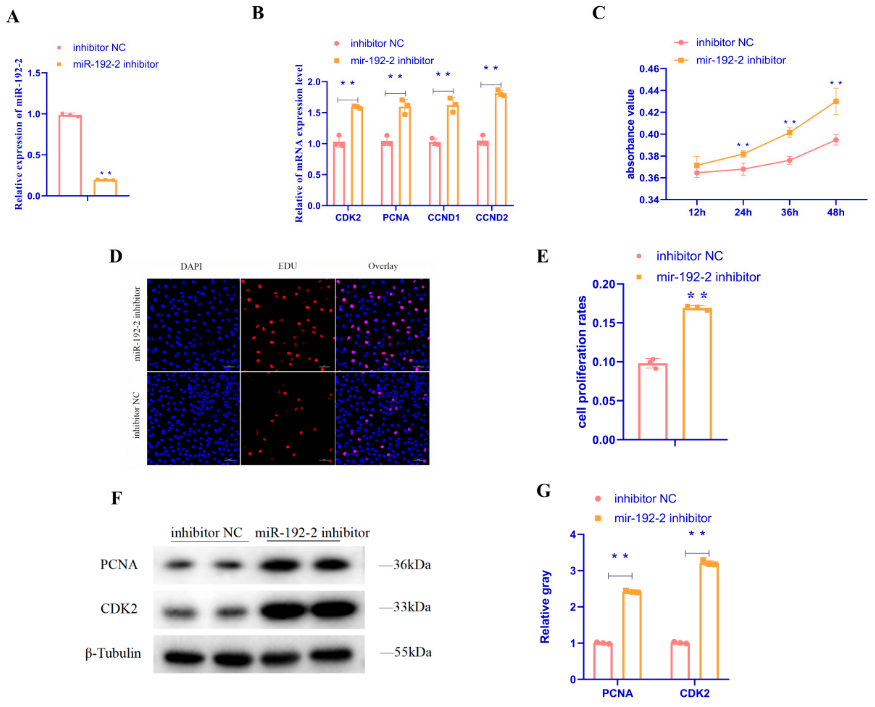 Animals 15 00663 g002 Animals 15 00663 g002