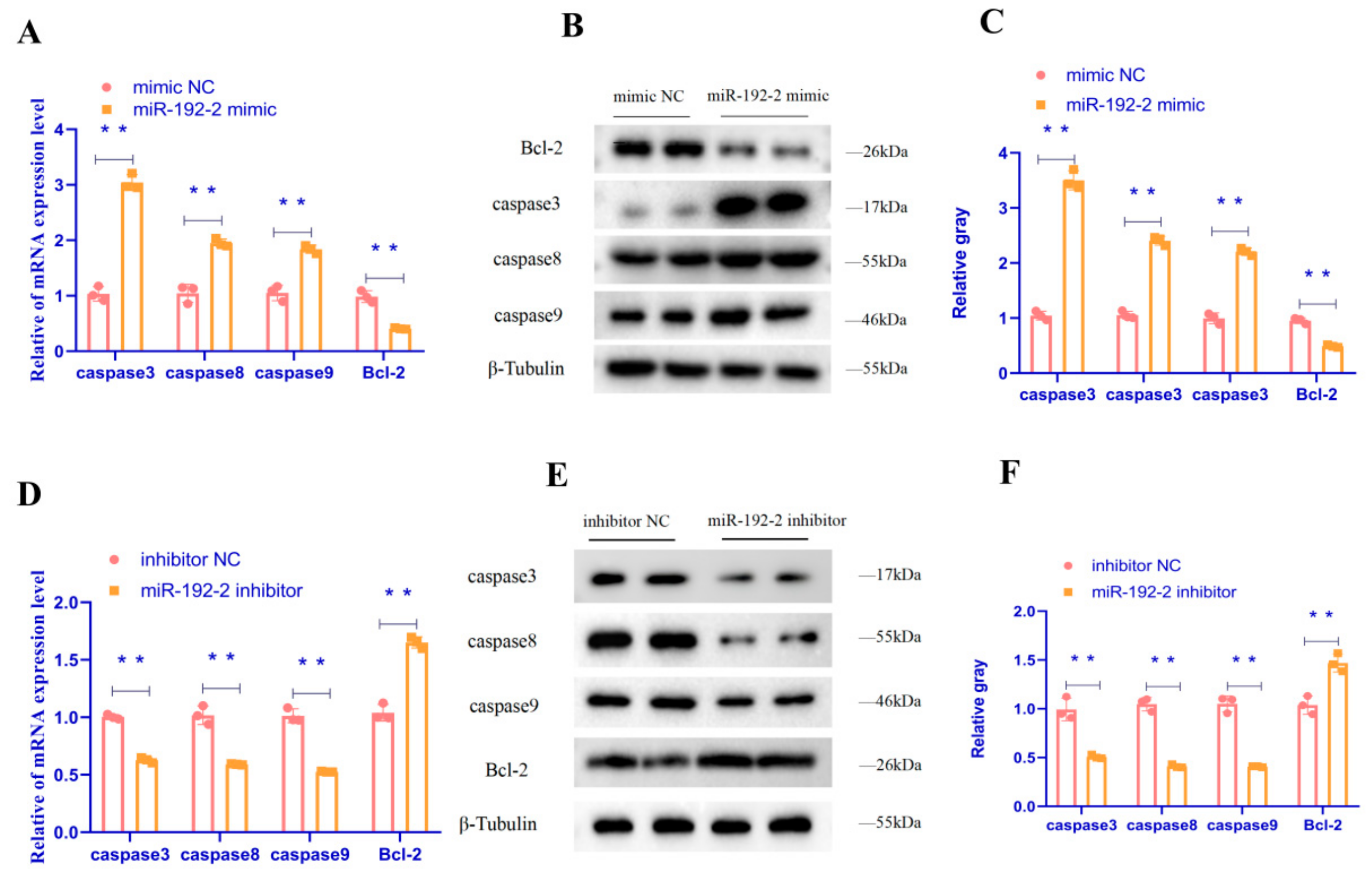 Animals 15 00663 g003a Animals 15 00663 g003a