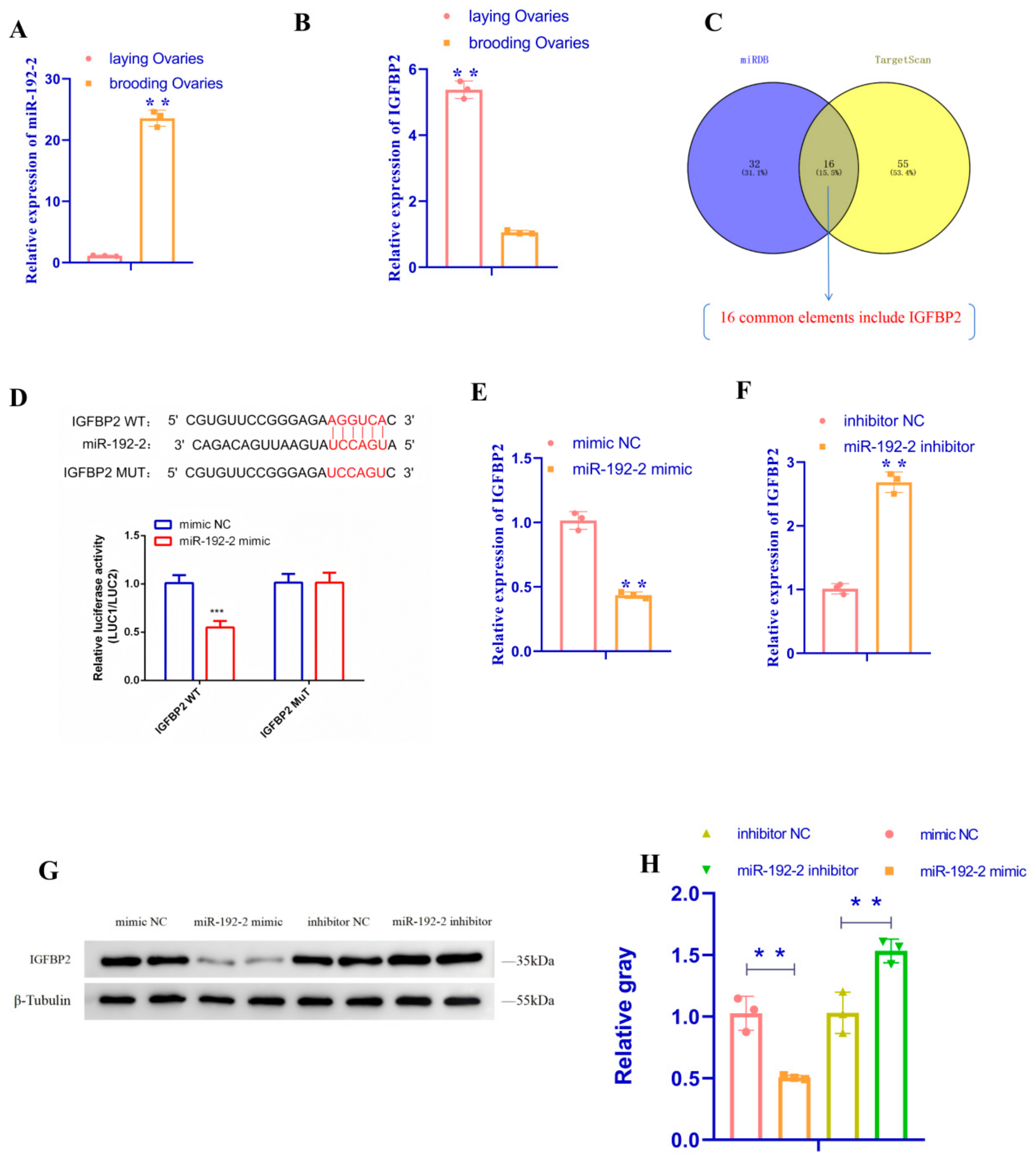 Animals 15 00663 g004 Animals 15 00663 g004