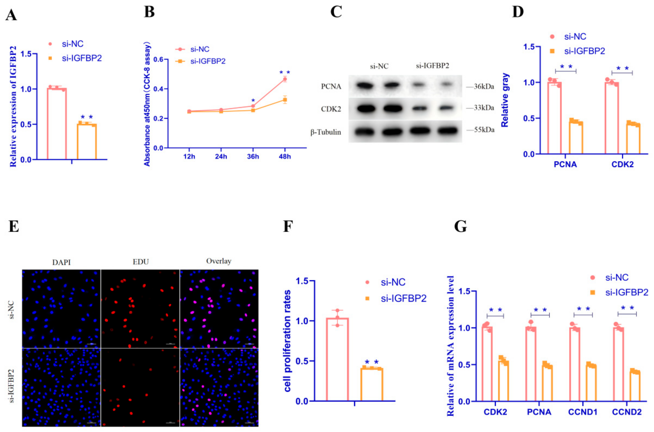 Animals 15 00663 g005 Animals 15 00663 g005