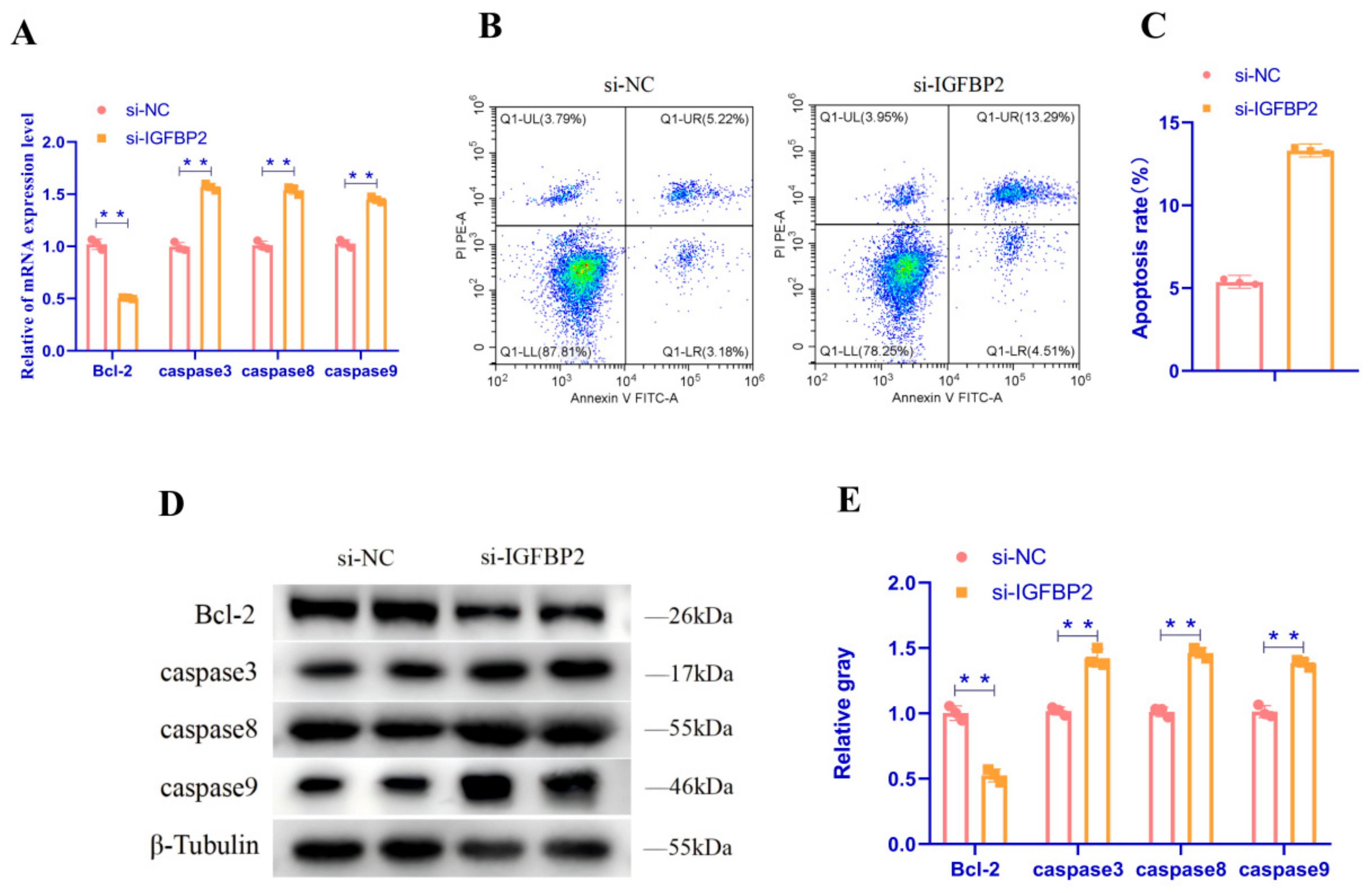 Animals 15 00663 g006 Animals 15 00663 g006