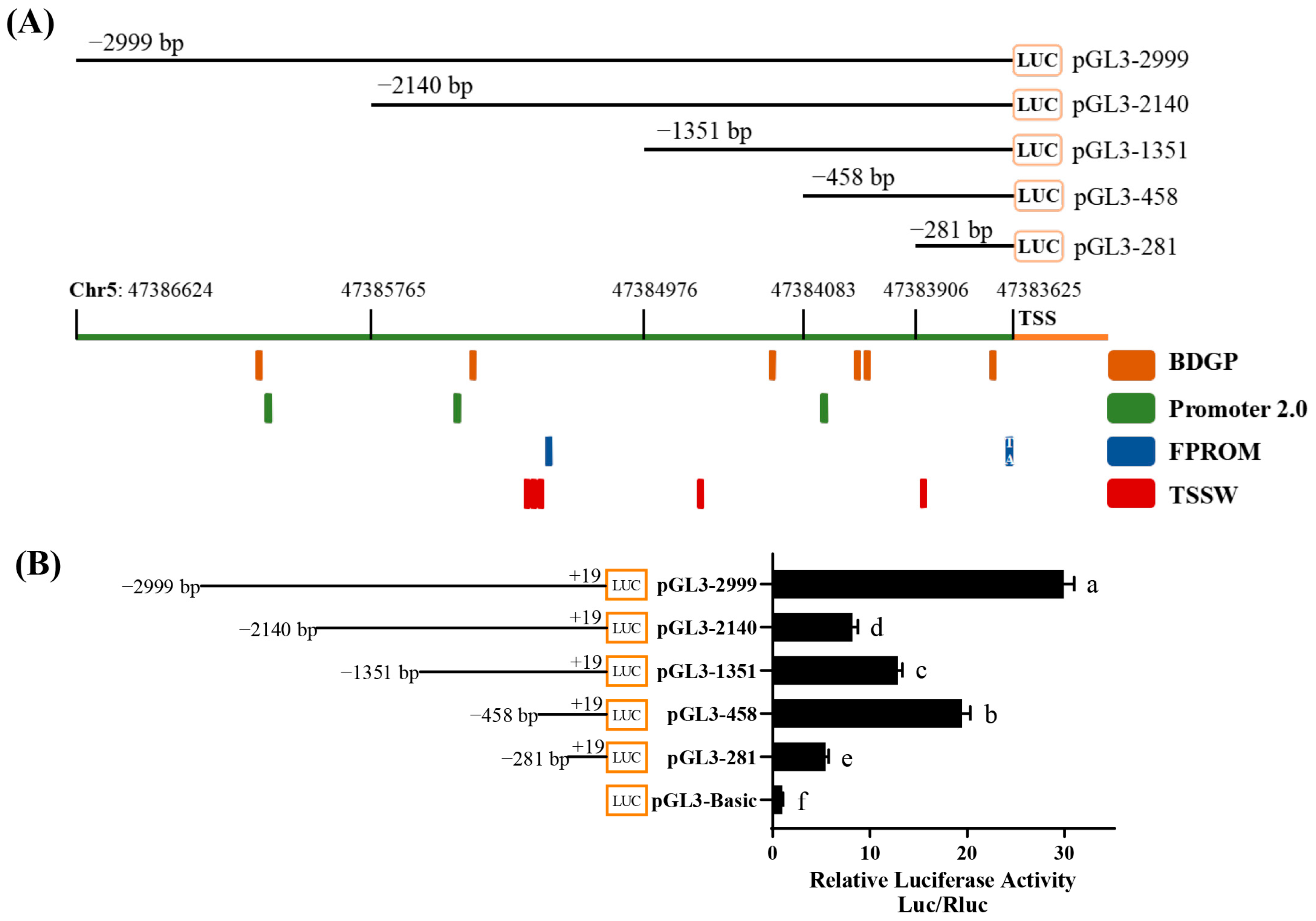 Animals 15 00665 g001