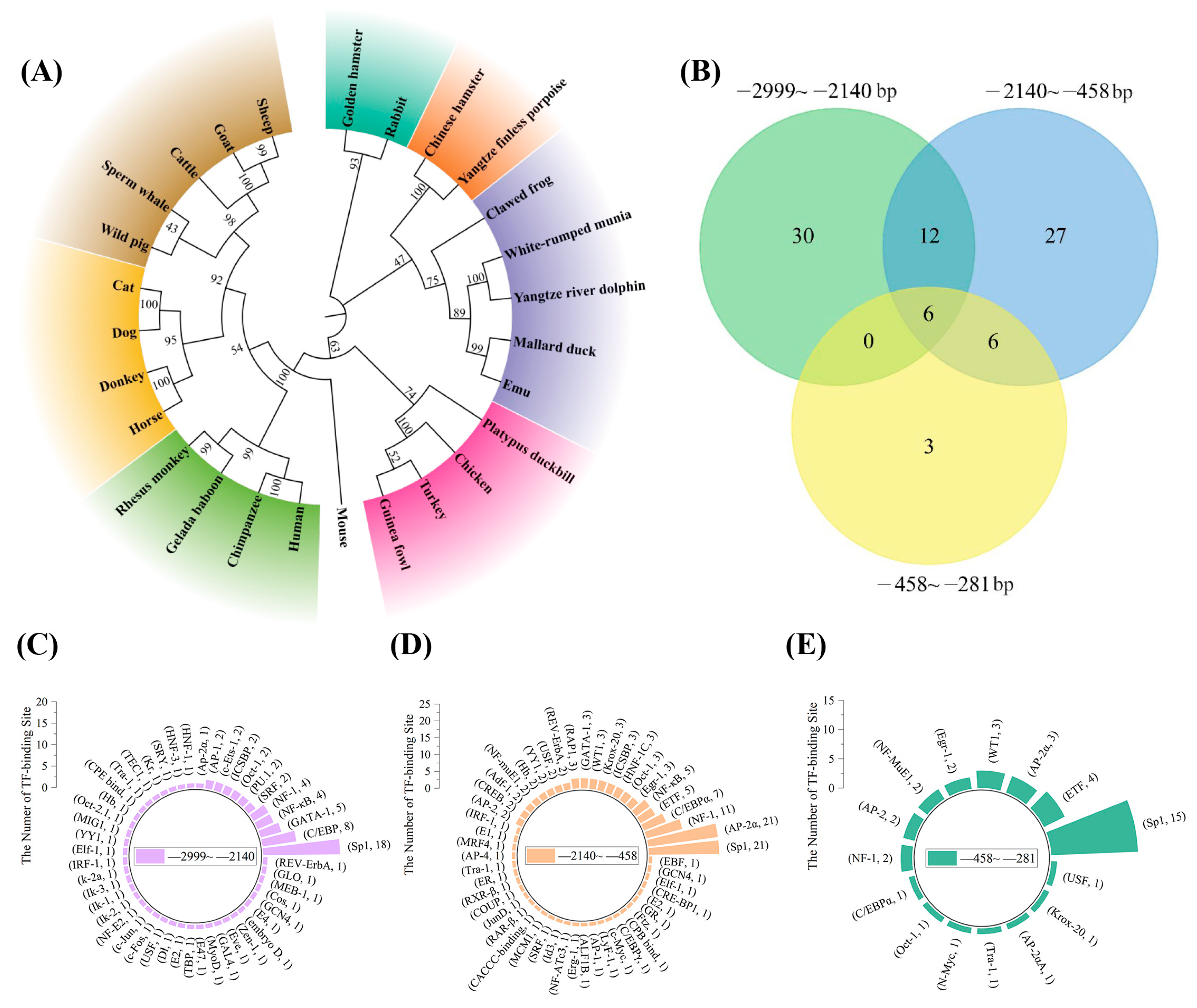 Animals 15 00665 g002
